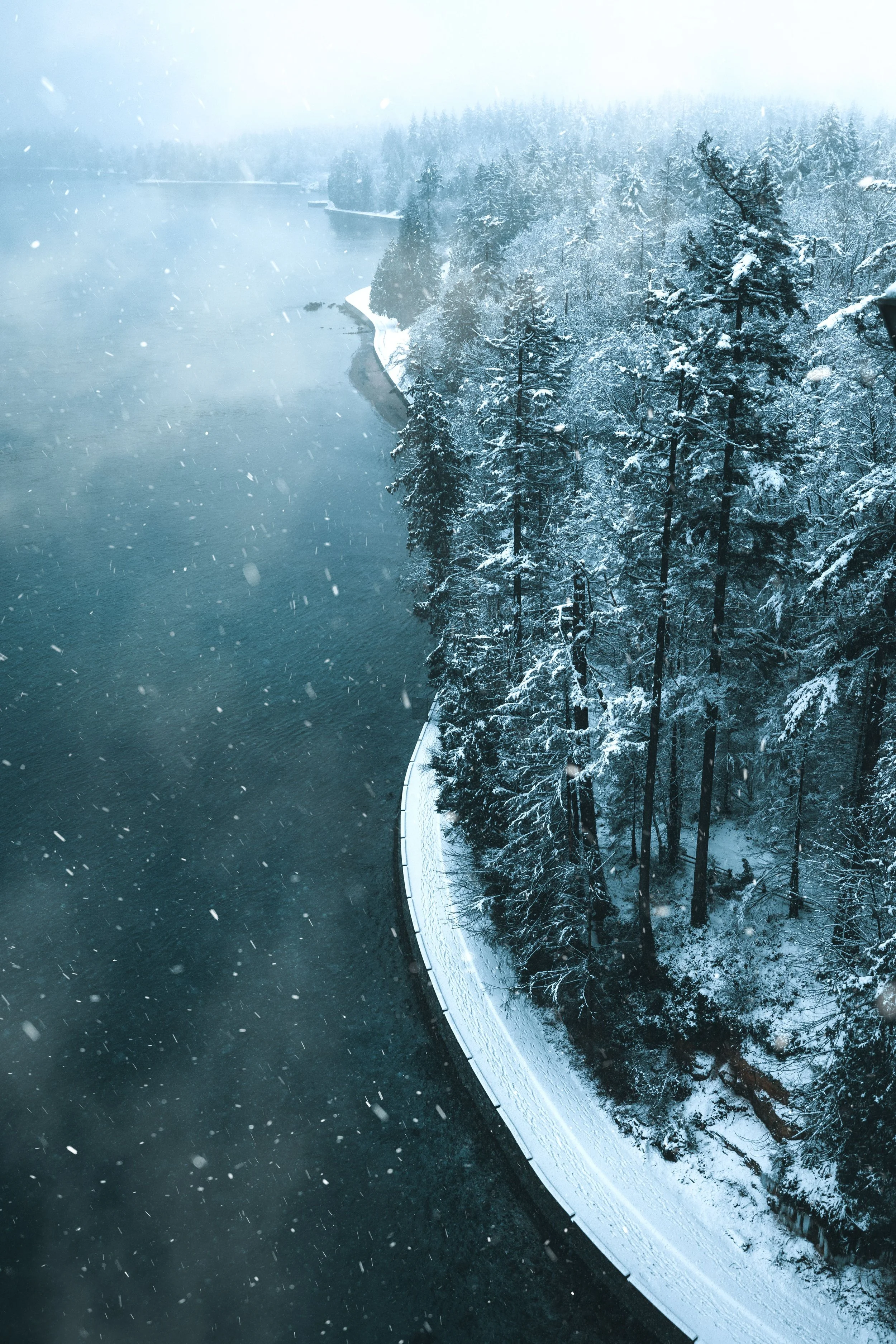 How to Prevent Seasonal Depression: A Psychologist’s Guide