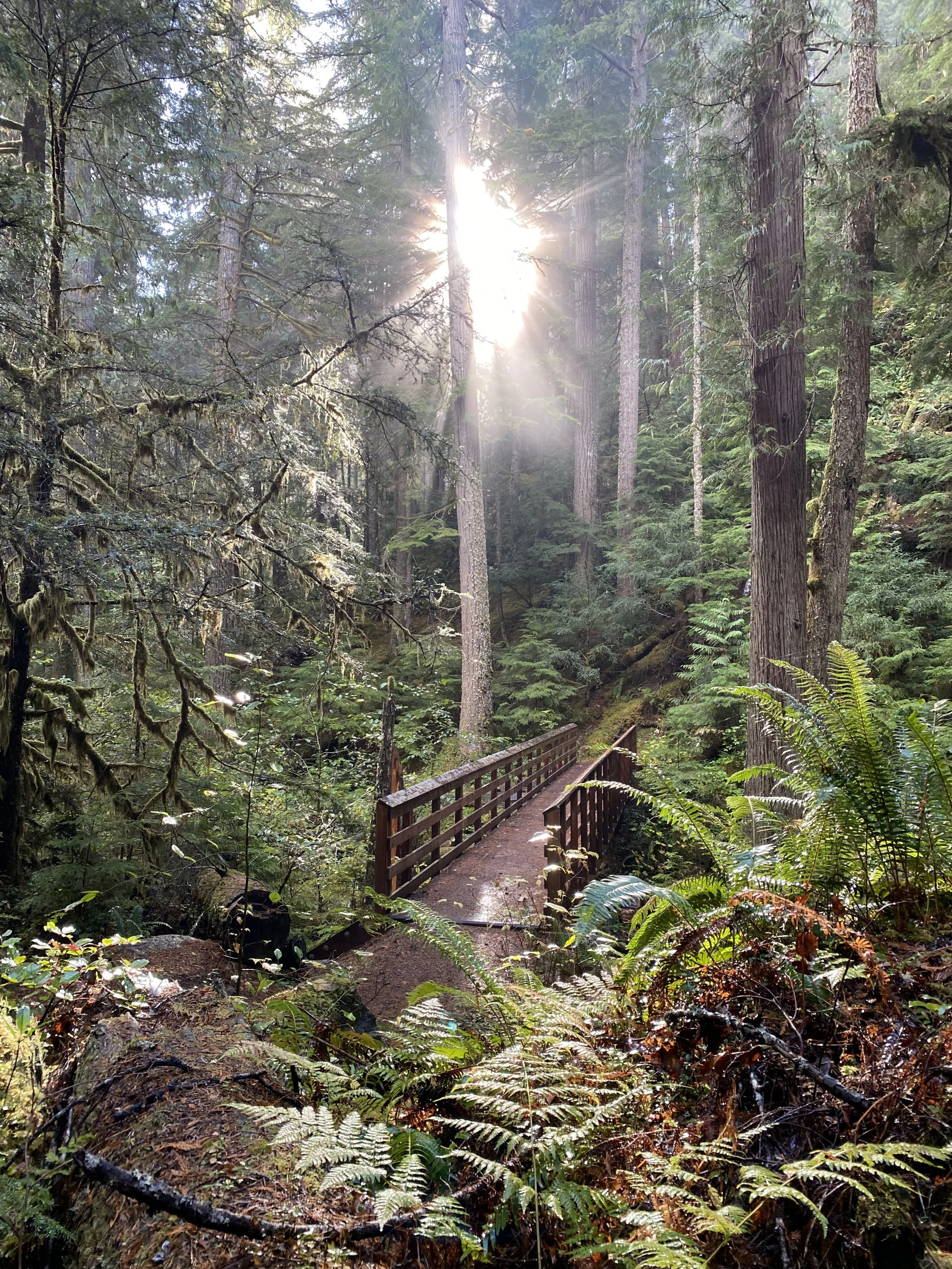 Dr. Mueller is a clinical psychologist who provides online therapy in WA and 40+ states specializing in supporting outdoor athletes with their mental health.
