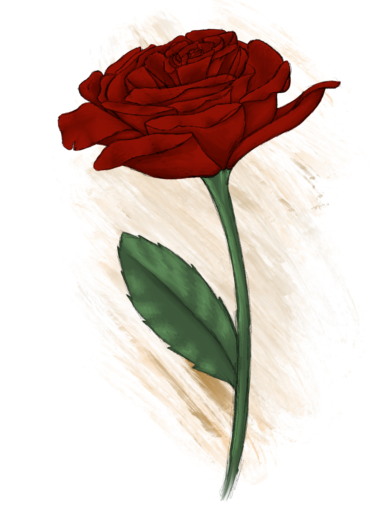 IMG_0418.png