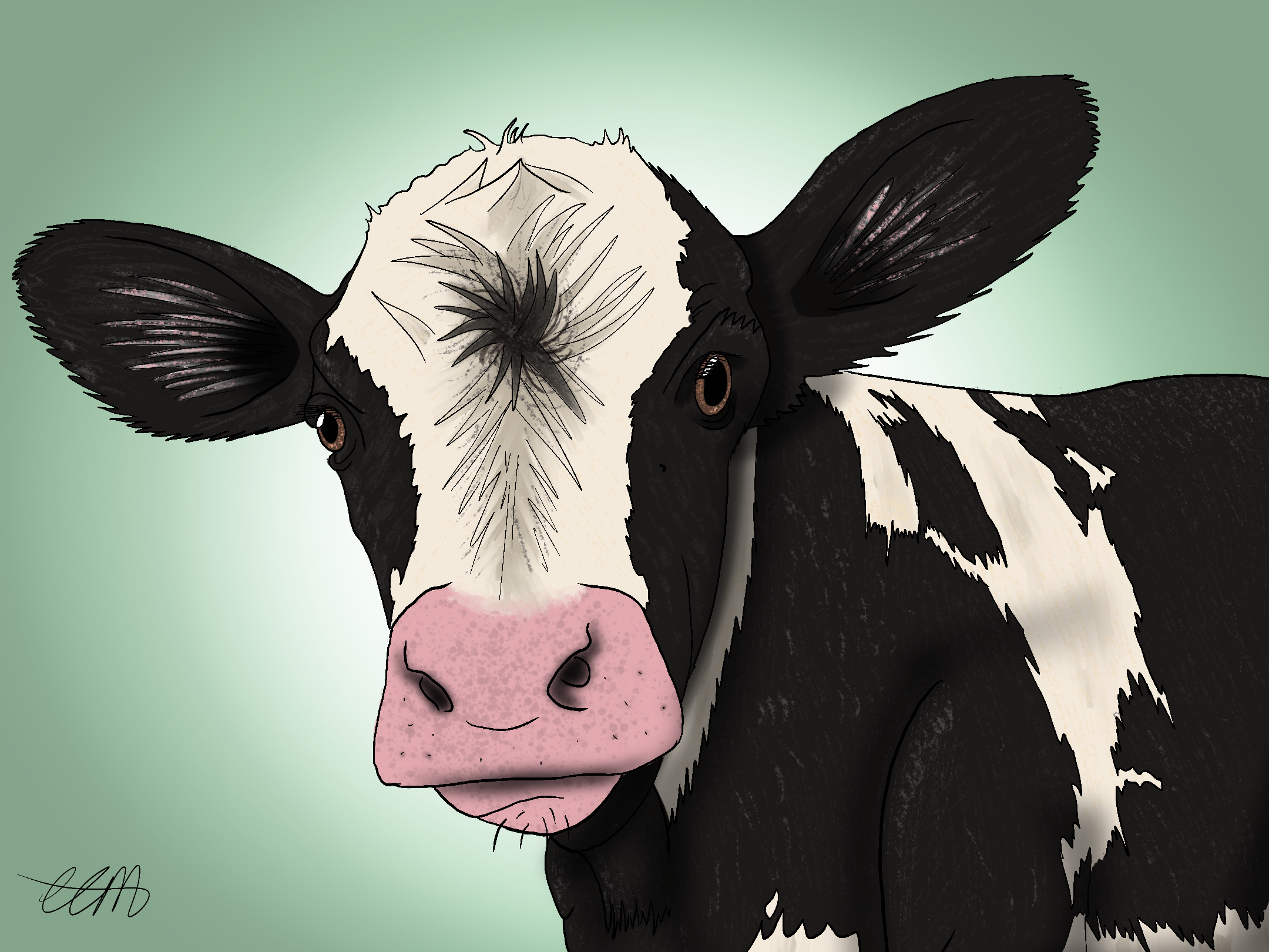 Cow_-_Ruth.png