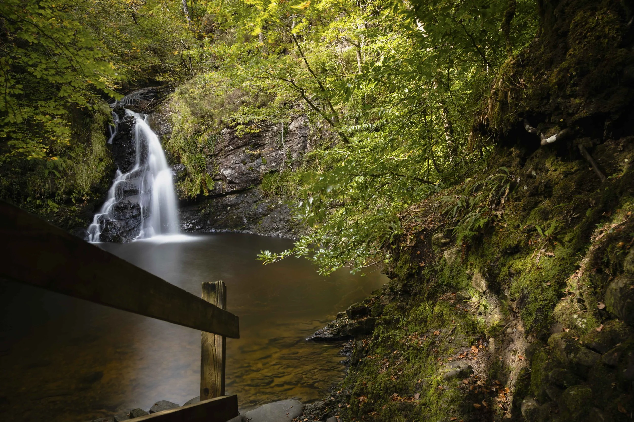 Woodland Serenity_ County Mayoweb.jpg