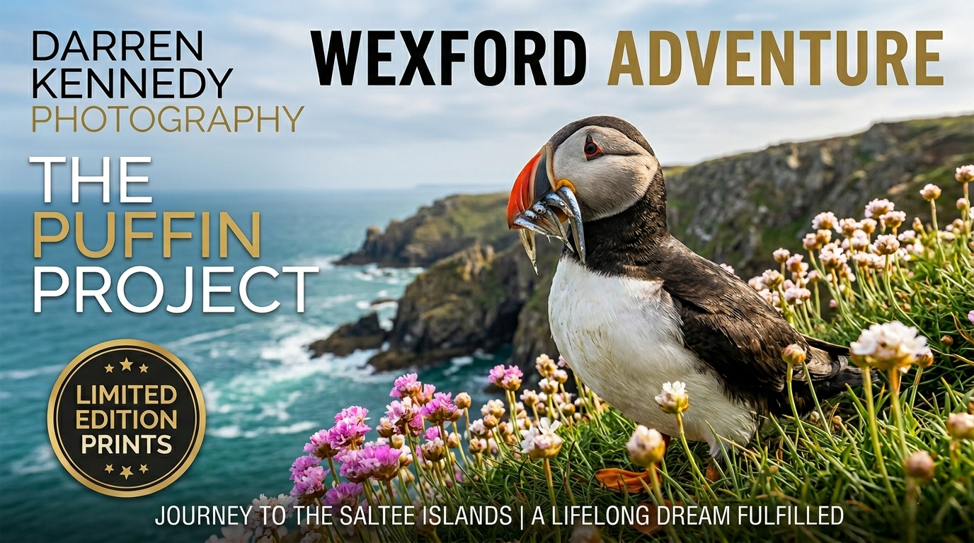 📸 The Puffin Project: Fulfilling a Lifelong Dream This May
