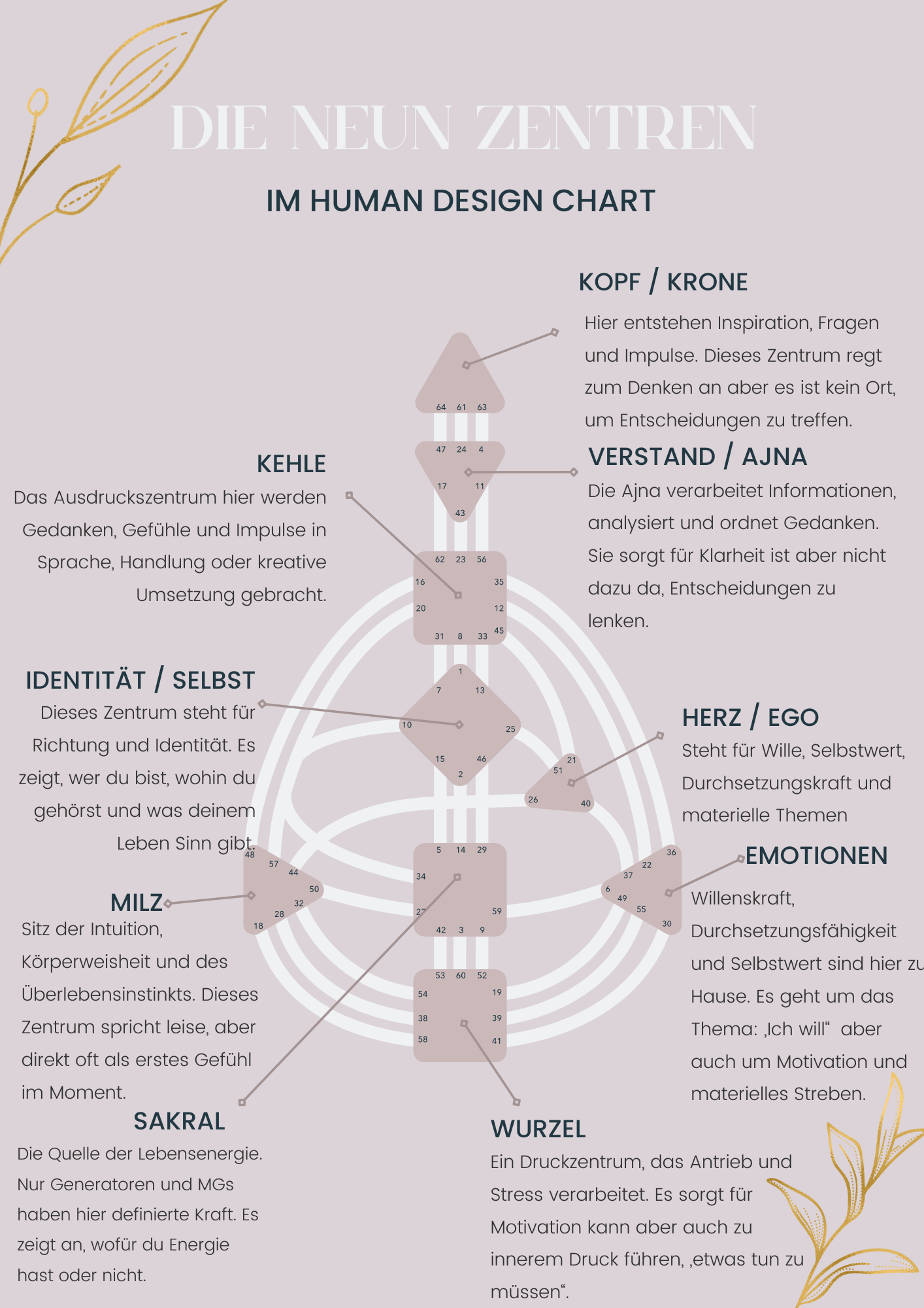 Infografik zum menschlichen Design mit neun Zentren, darunter Kopf, Verstand, Herz, Mut, Wurzel, Sakral, Milz, Identität und Kehle, mit Beschreibungen ihrer Funktionen.