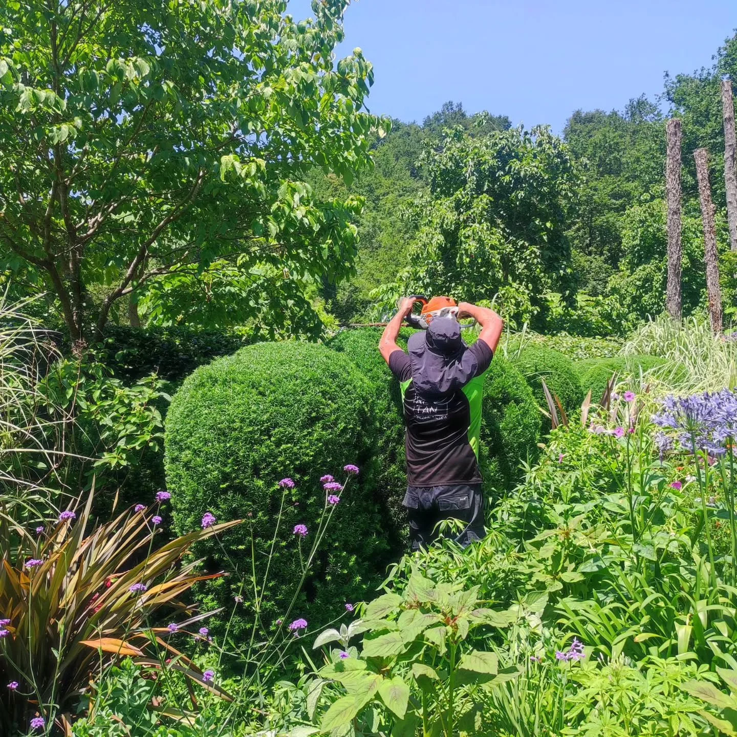 @lurgarden #lorezaintza #jardiner&iacute;a #gardening #jardinerie