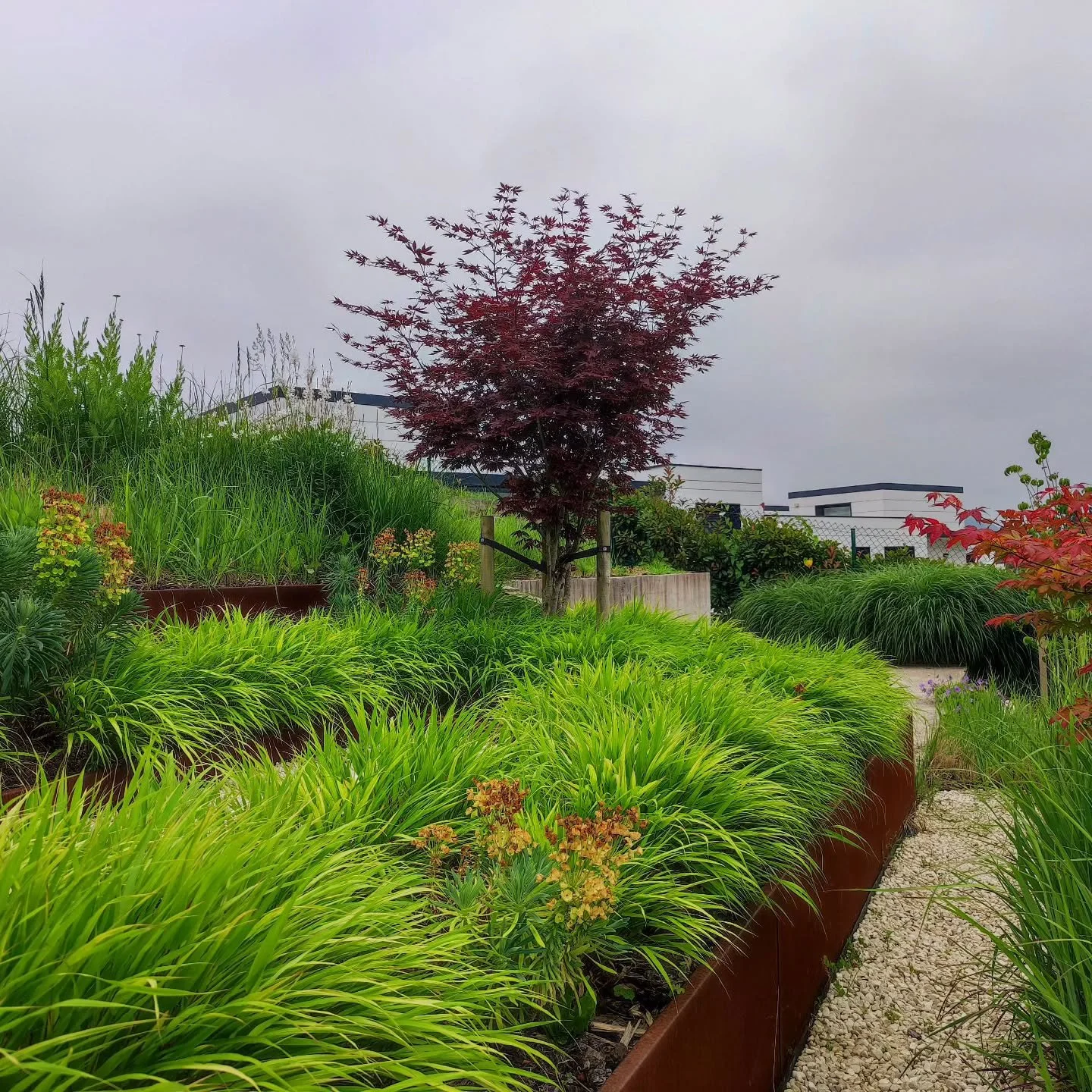 #lorezaintza #jardiner&iacute;a #gardening