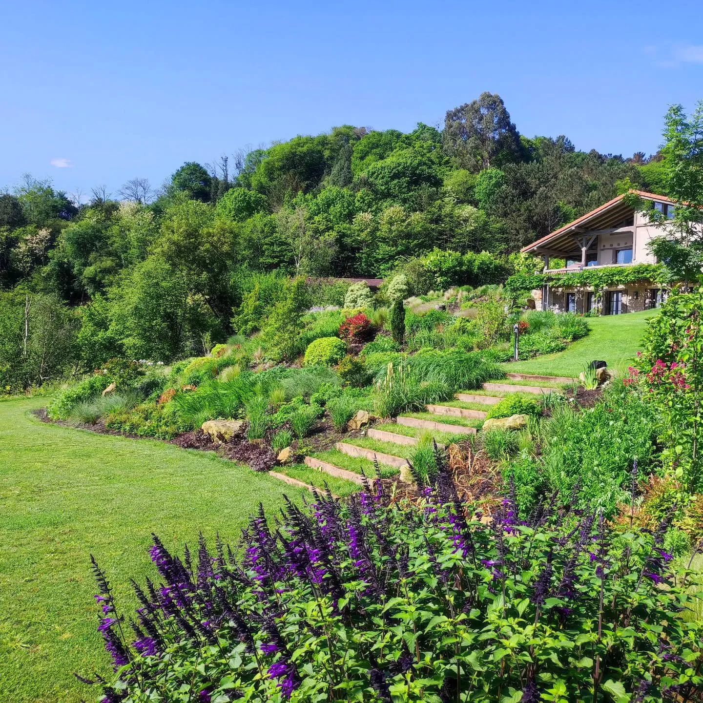 #lorezaintza #jardiner&iacute;a #gardening #perennialgarden