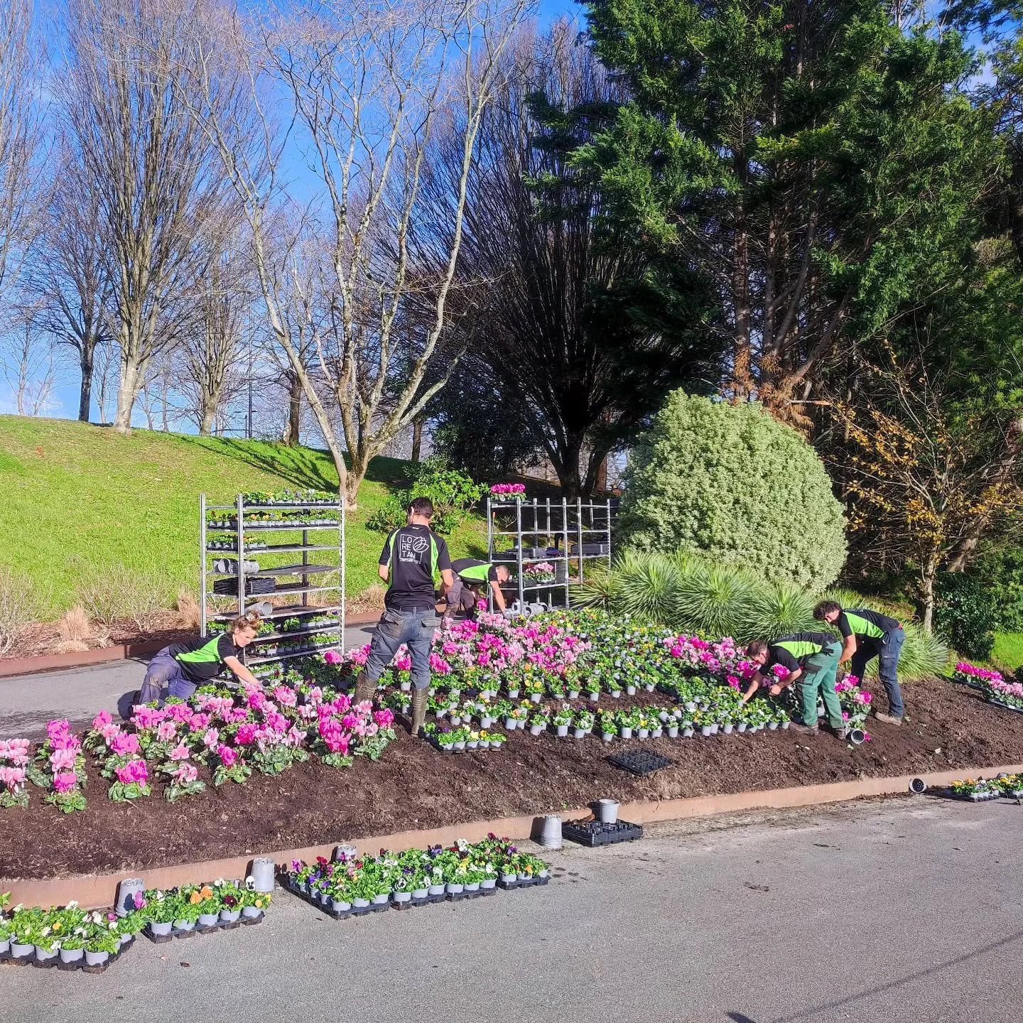 #loretan_taldea #lorezaintza #jardiner&iacute;a