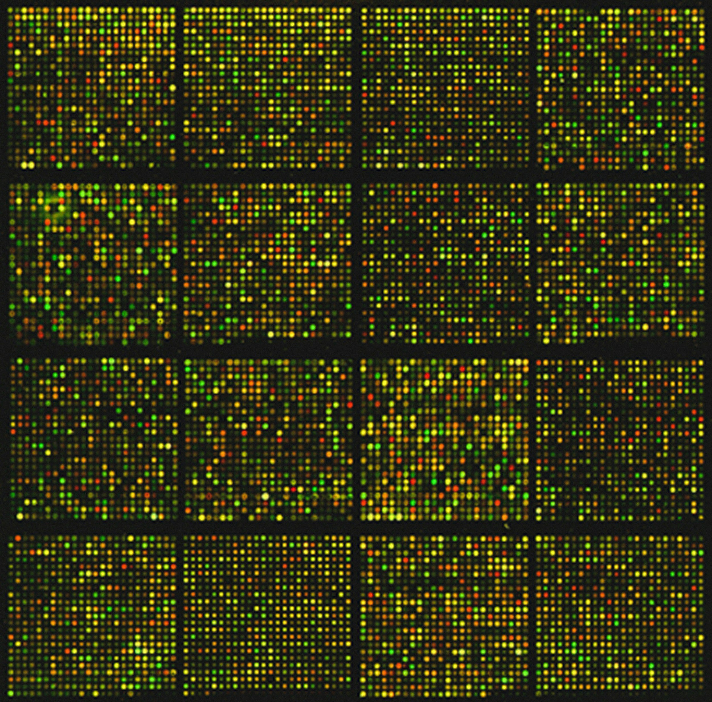 Isn’t the Whole Point of Life Just to Pass On Our Genes?