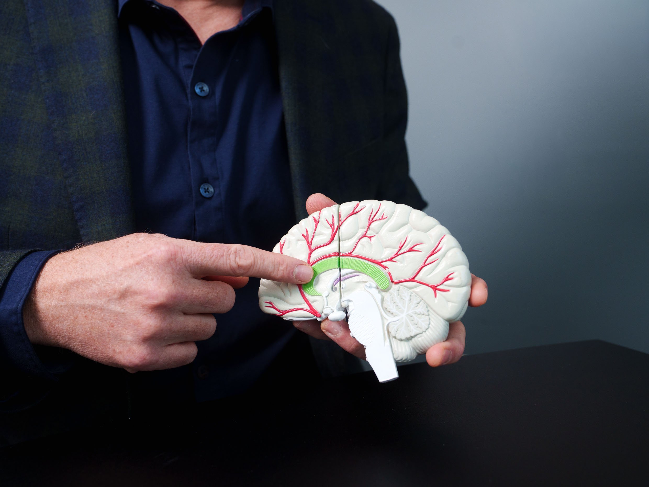 Advancing Movement Disorder Research: Reflections on a Season of Collaboration