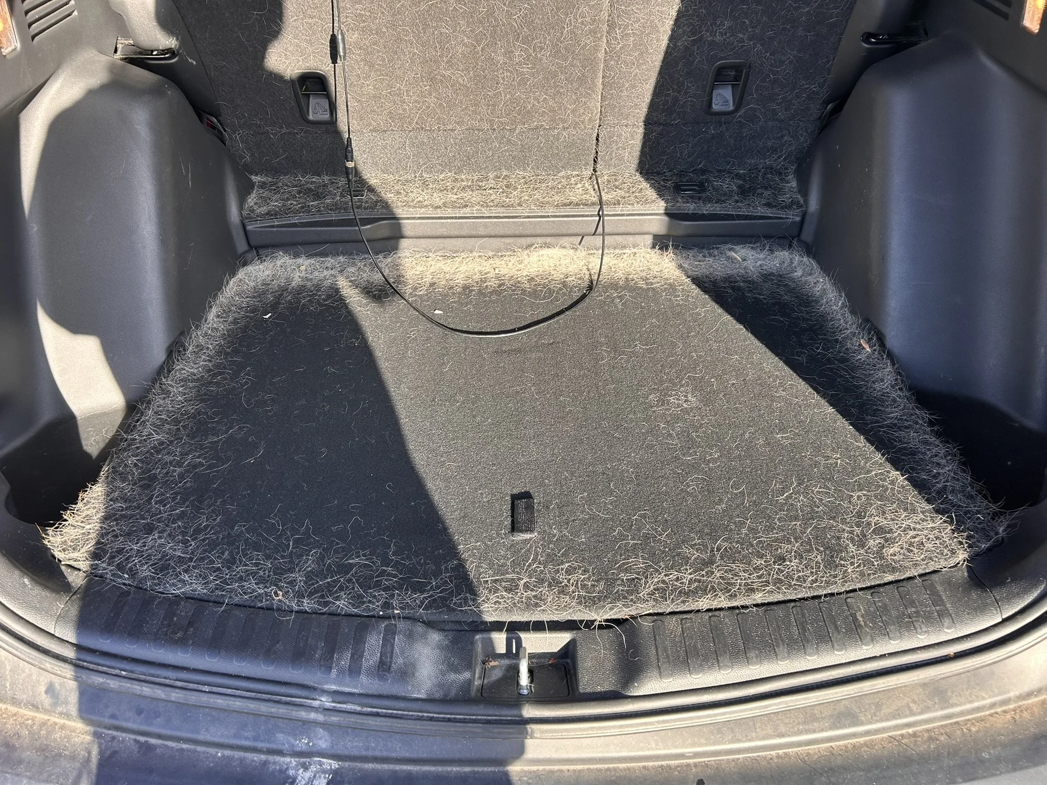 Back of a vehicle with the rear seats folded down, showing the trunk space covered in dog hair and a black charging cable hanging.