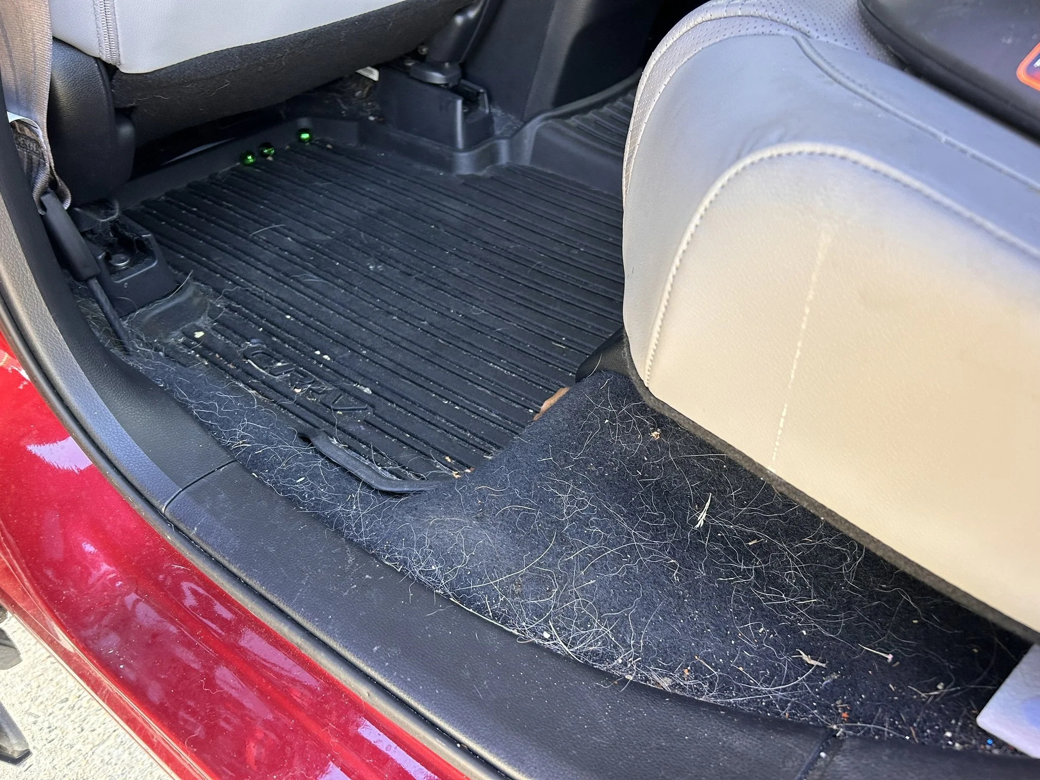 Car floor with a rubber mat and a black carpeted area, both covered in dust, debris, and pet hair, with a beige car seat partially visible.
