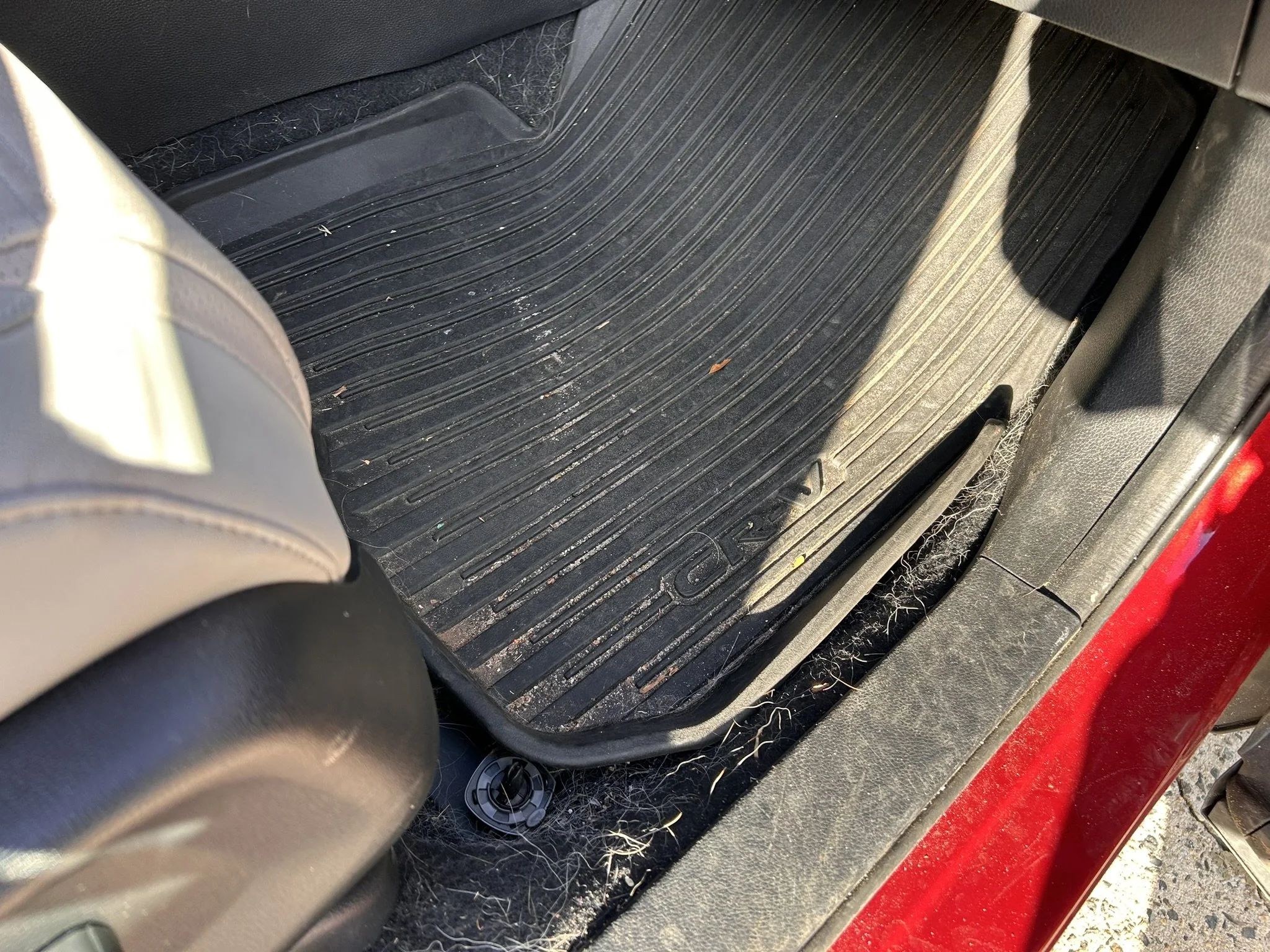 Car floor mat with dust and debris inside a vehicle, partially visible seat, and red exterior door.