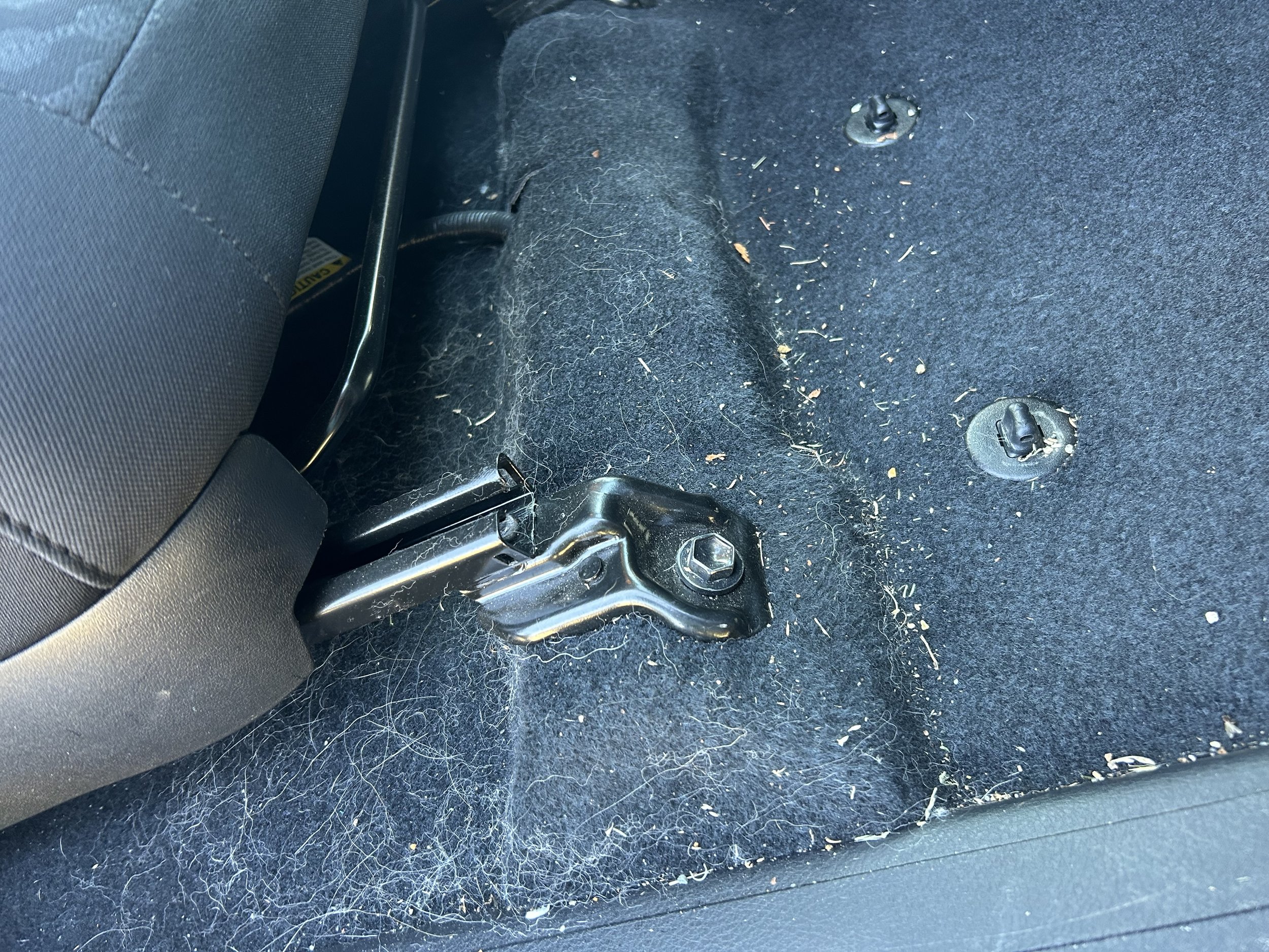 Car floor with numerous pet hairs and small debris around the seat mounting points.