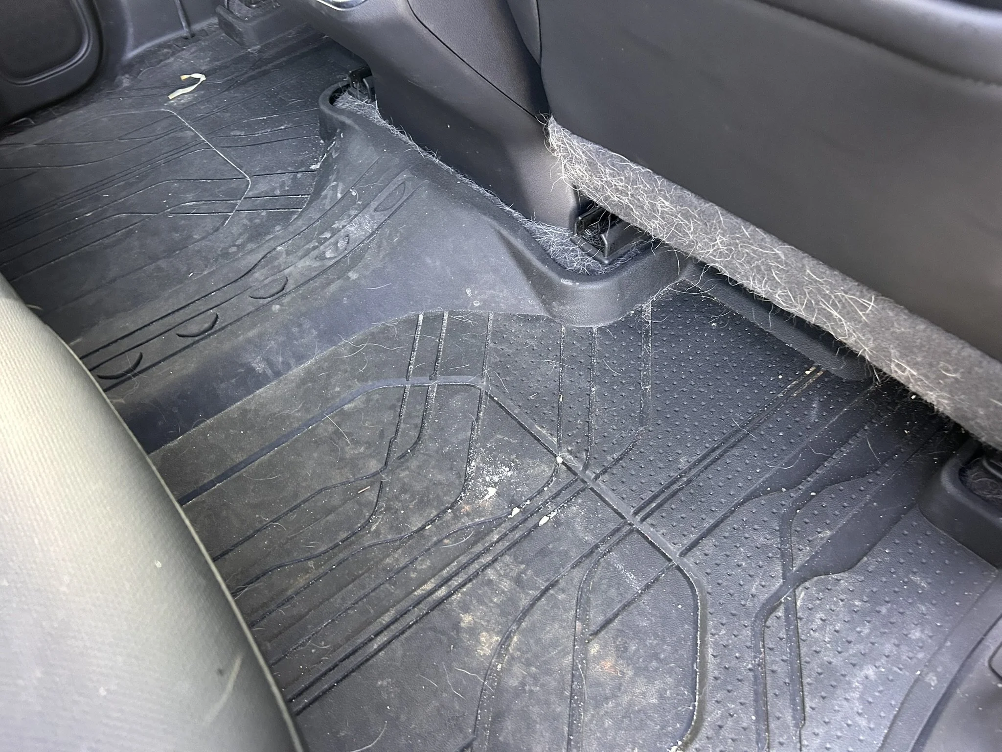 Dirty black car floor mat with pet hair, small debris, and dirt, located behind the front seats.