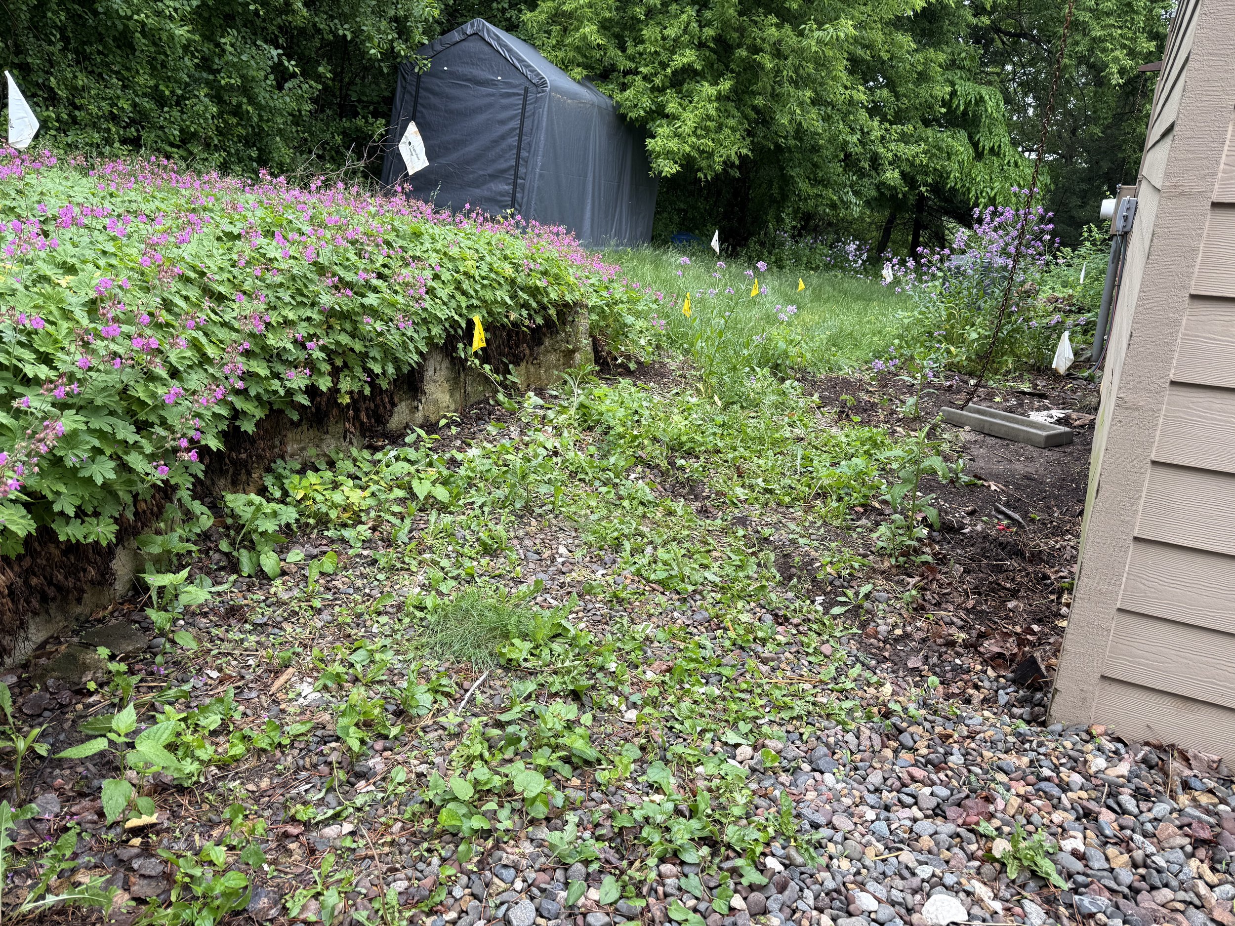 Before