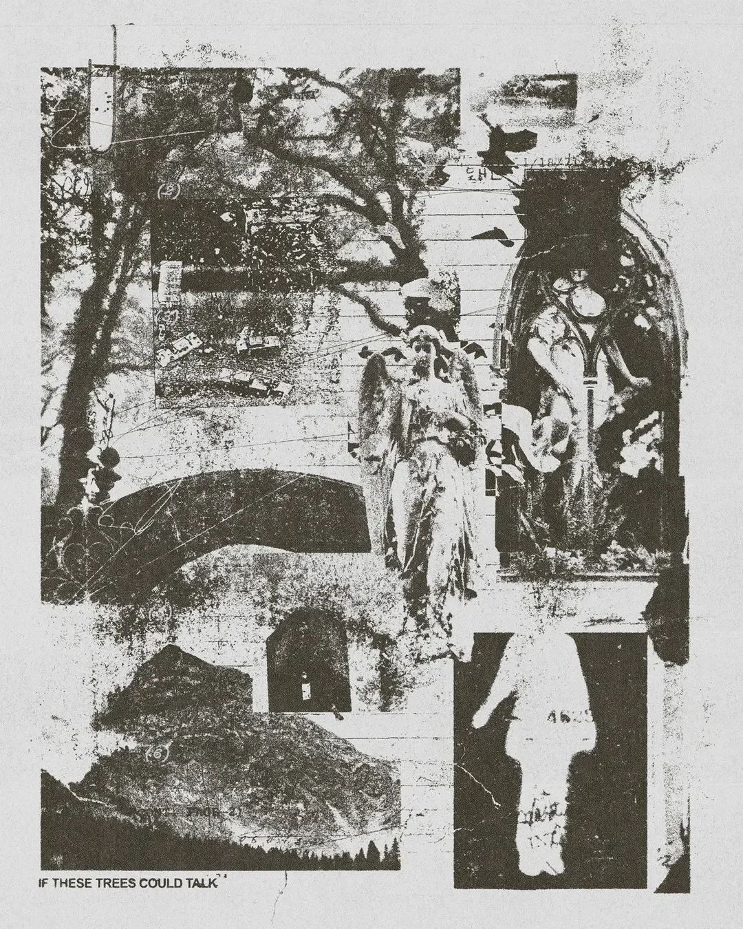 Experimental concept design inspired by @ifthesetreescouldtalk I started to become obsessed wit.webp