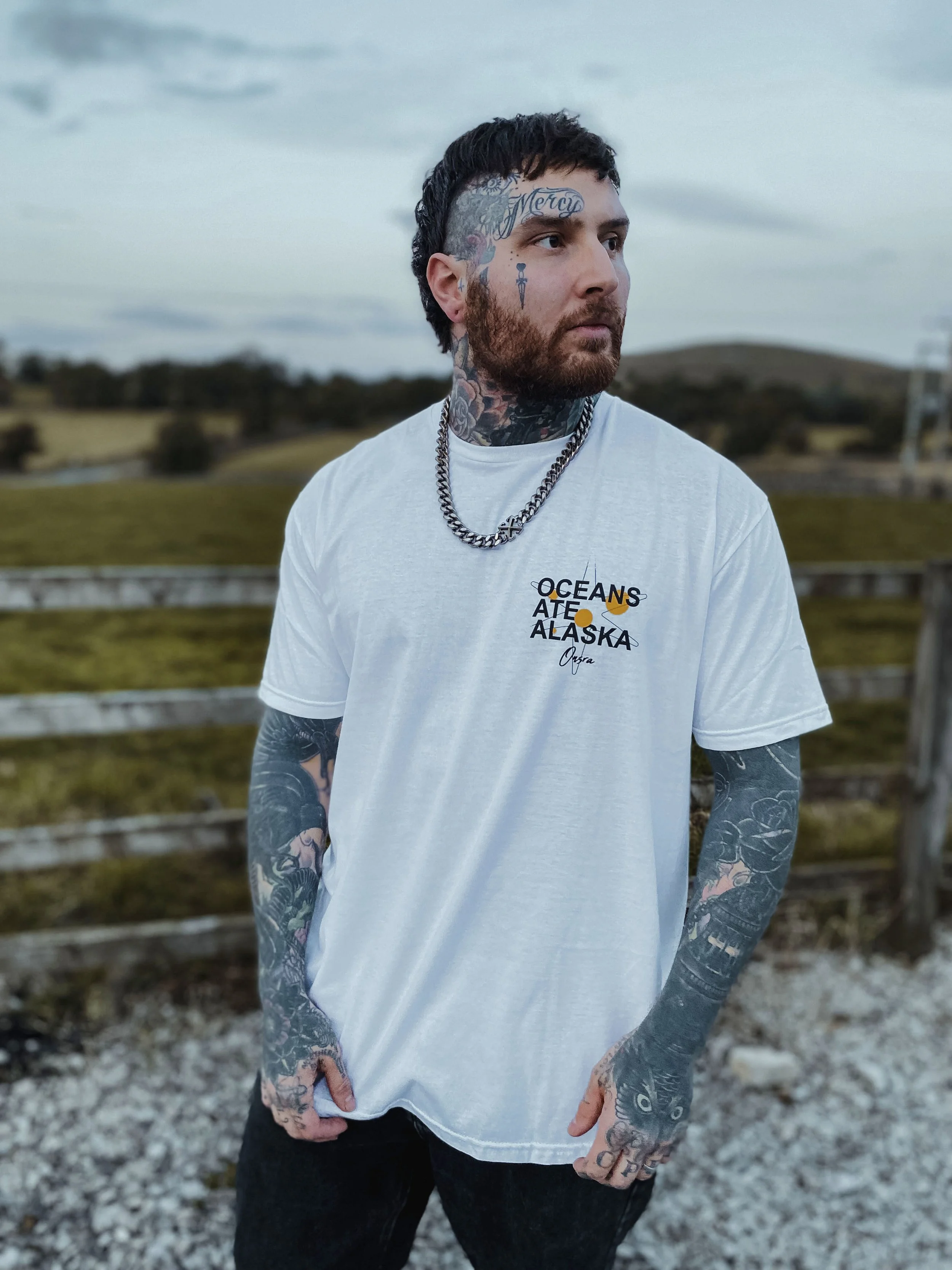 Oceans Ate Alaska - Single promo merchandise