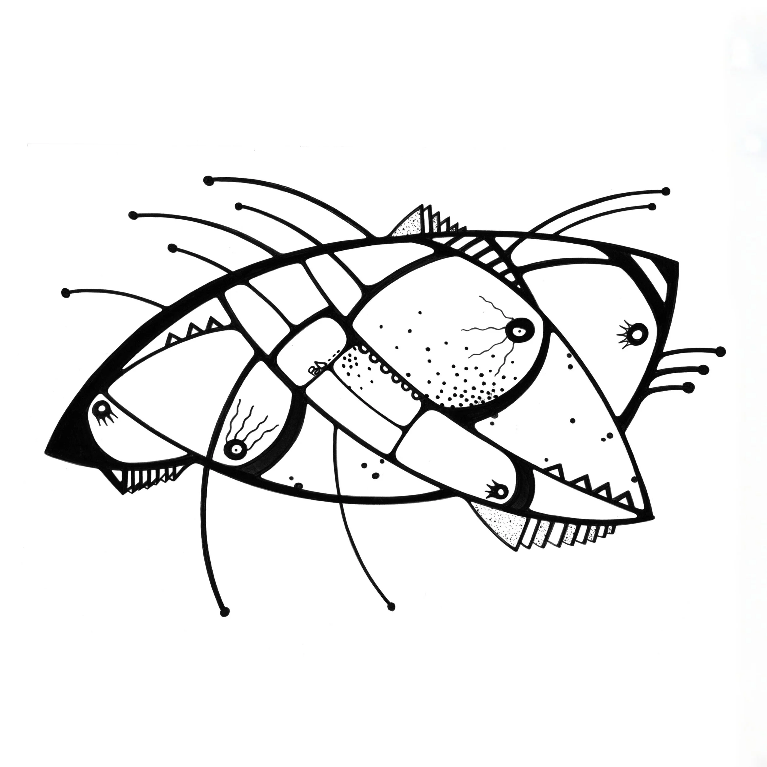 Walter Loop Scan fond blanc.jpg