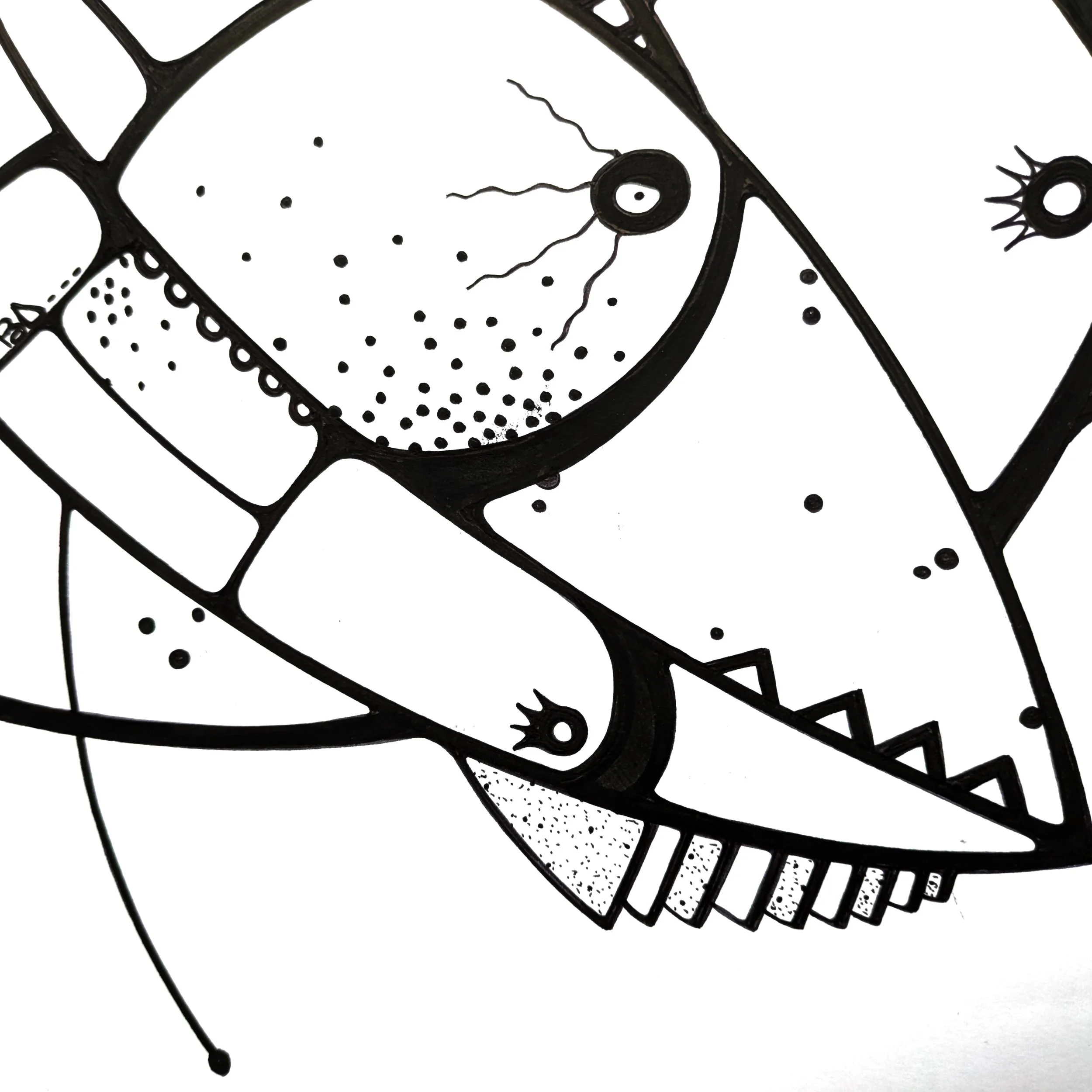 Walter Loop details 2.jpg