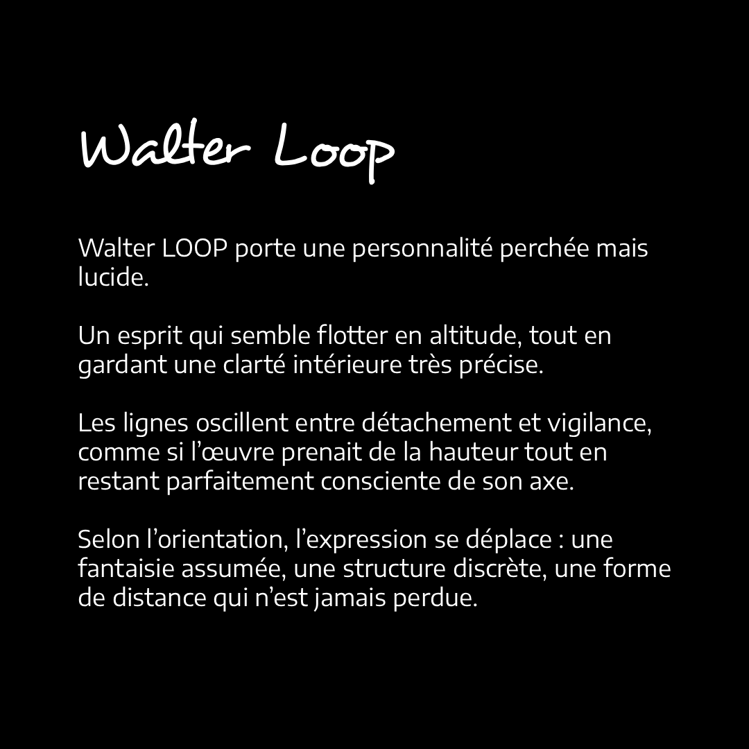 Description Walter LOOP fond noir.png