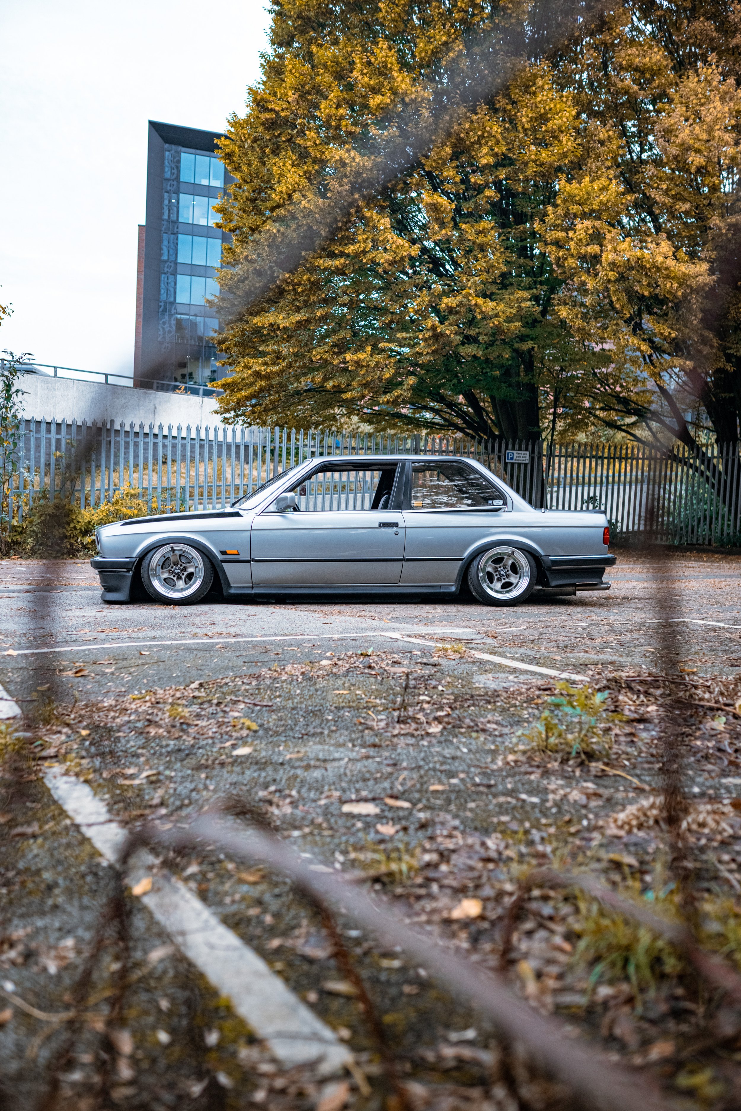 STXICA-8.jpg