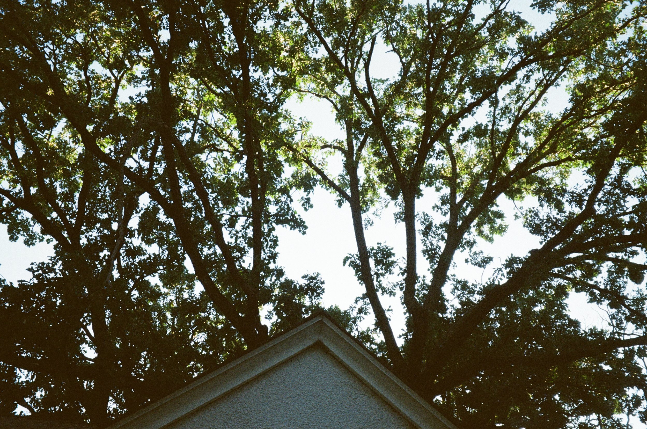 000063570020.jpg