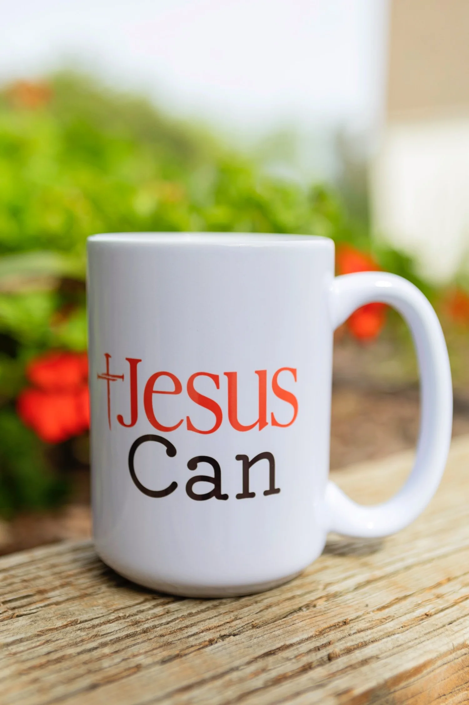 Jesus Can 