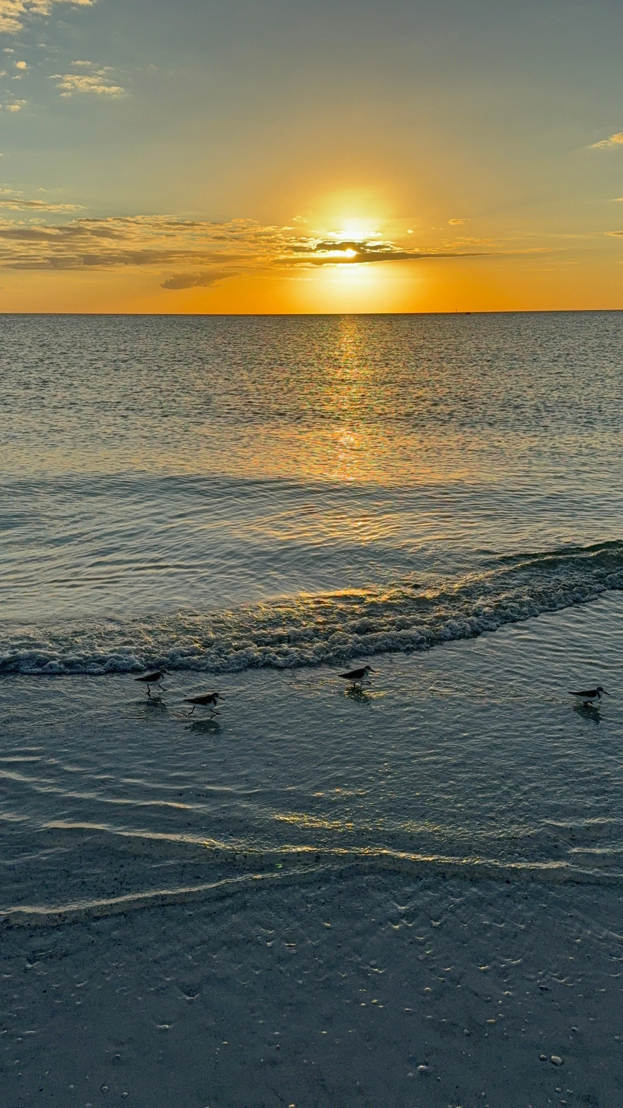 Sunset at the BEACH