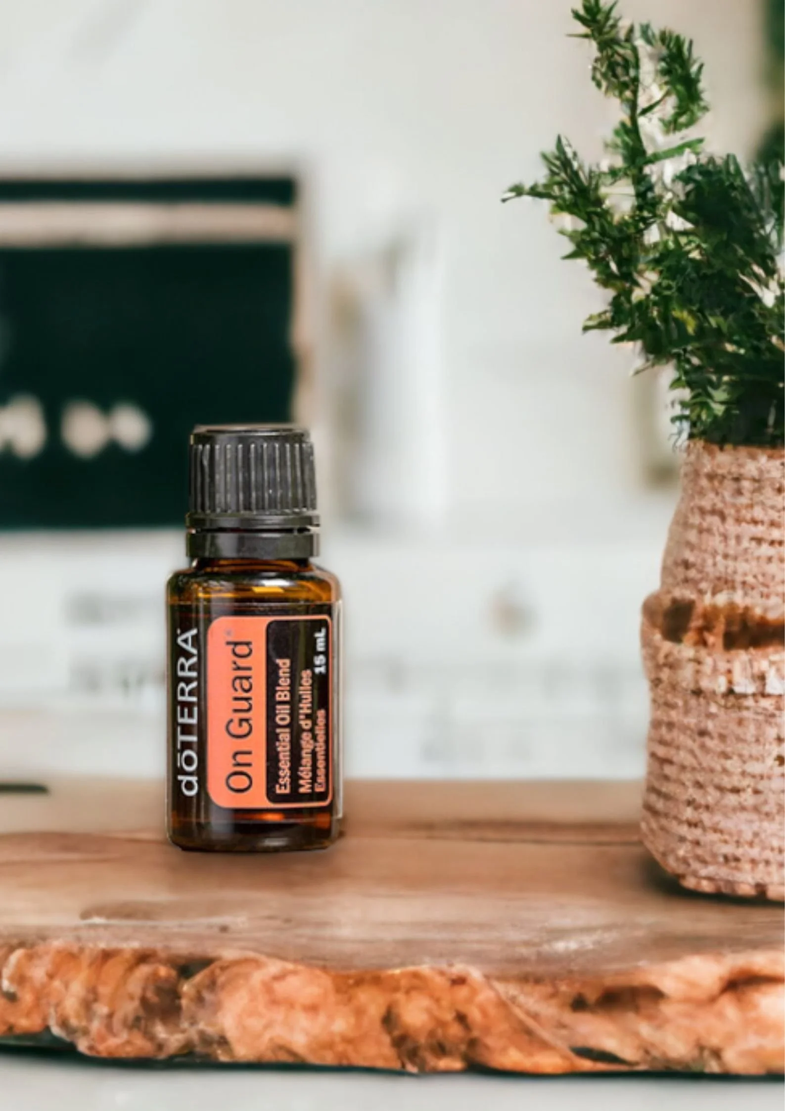 Boccetta di miscela protettiva On Guard doTERRA su base di legno con una pianta verde in un vaso di corda sulla destra - Silvia Pagliarini