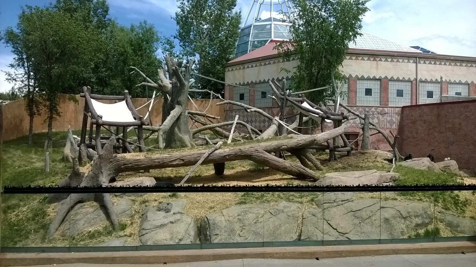 WP_20160621_004.jpg