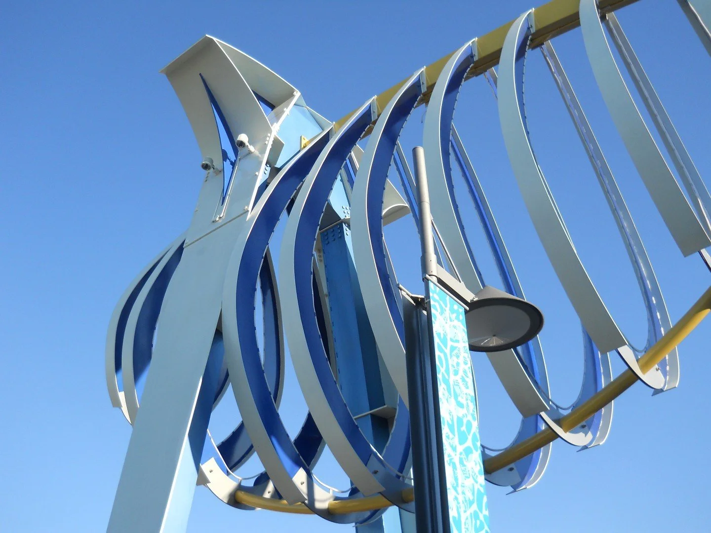 DSCN1922 (Large).JPG