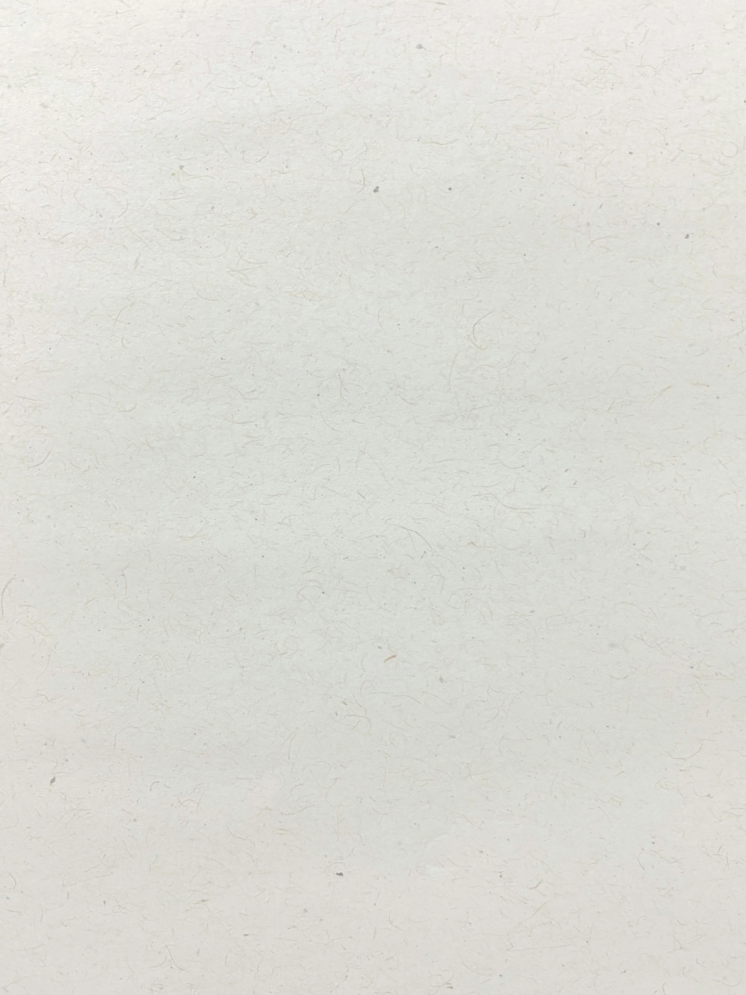 Plain, light-colored textured paper.