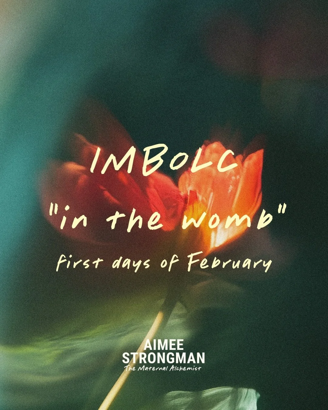 Imbolc to me is a relief. A relief that nature promised the wheel would turn again. And I hope the reckoning is coming on the world stage. 

The world is still quiet, still wrapped in winter, and yet&hellip; something is moving beneath th earth in he