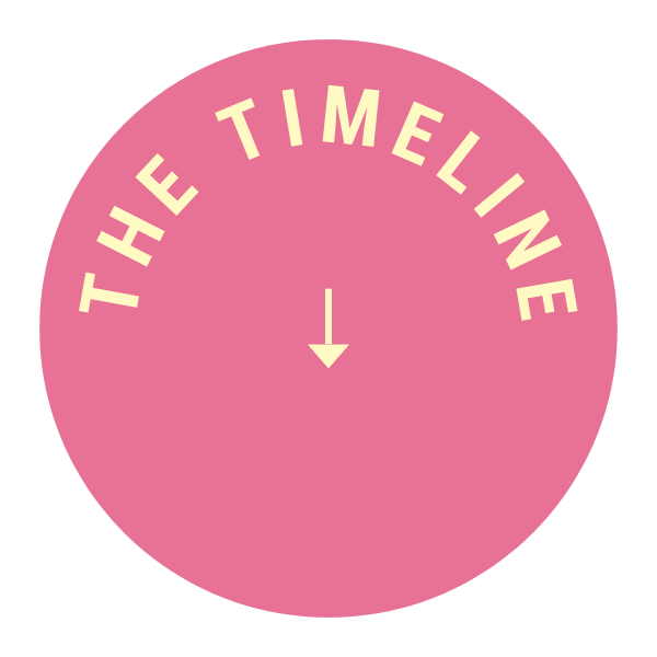 Pink circular icon with the words "The Timeline" curved at the top and a downward pointing arrow in the center.