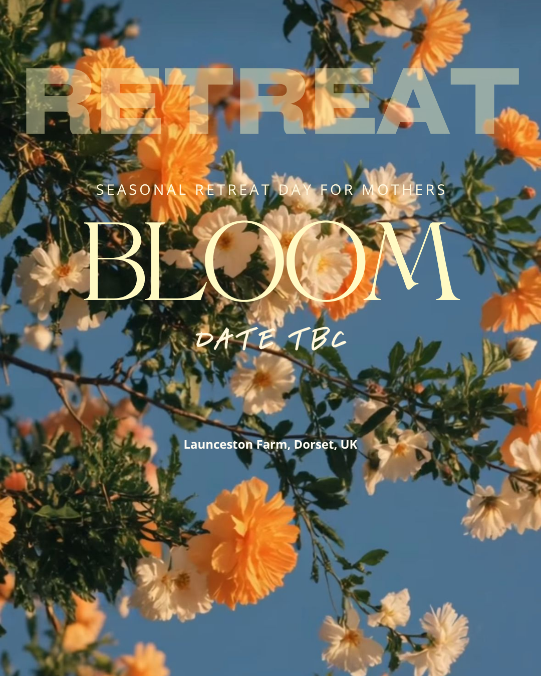 BLOOM