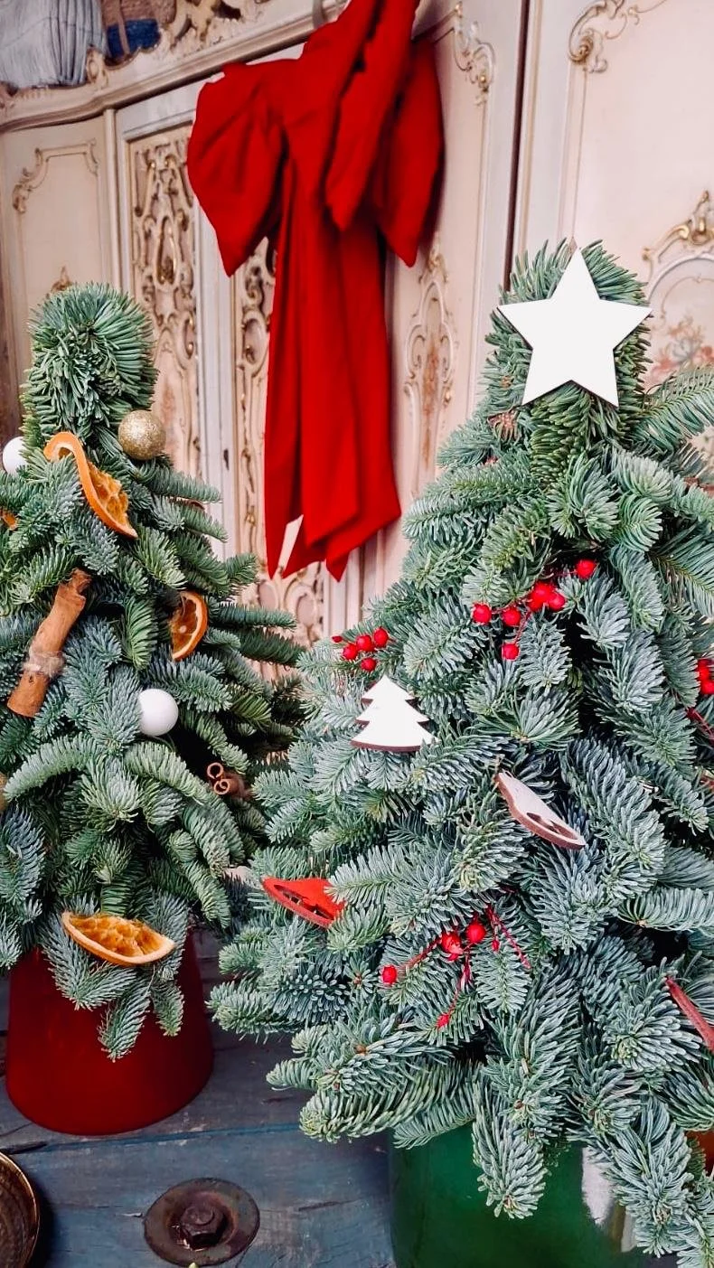 Due alberi di Natale decorati con ornamenti, foglie di bacche rosse e scorze d'arancia, in vasi verdi e rossi, in un ambiente con pareti decorate in stile barocco e un drappo rosso sullo sfondo.