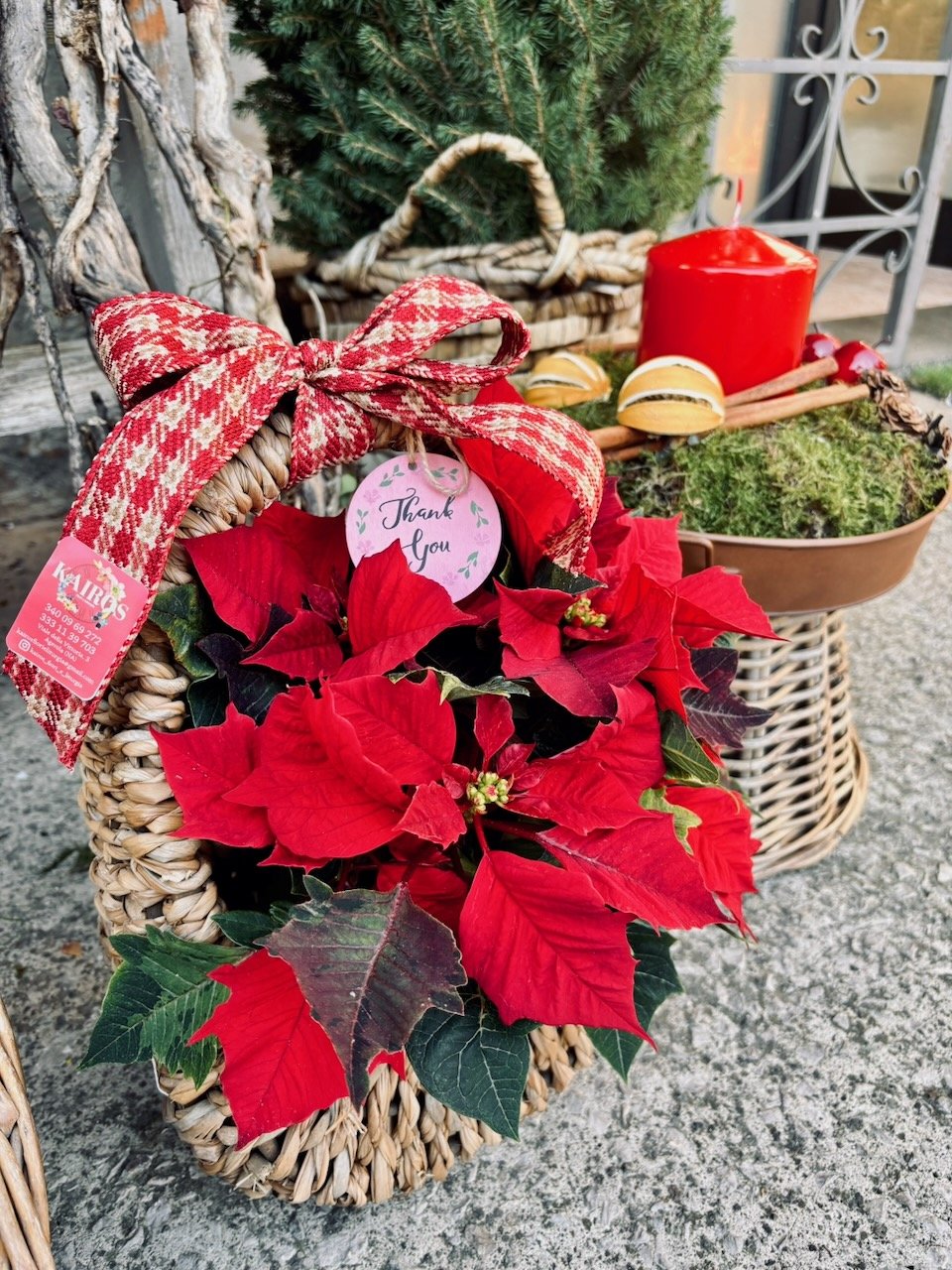 Cesto di vimini decorato con nastri rossi, contenente piante di poinsettia rosse e verdi, con un cartellino che dice 'Thank You' e una candela rossa accanto, sullo sfondo un albero di Natale e altri elementi decorativi