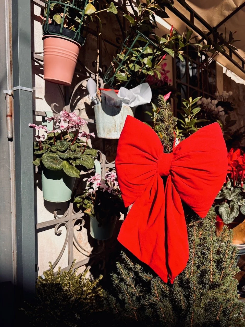 Un albero decorato con un grande fiocco rosso in tessuto e piante in vaso appese a una griglia di ferro