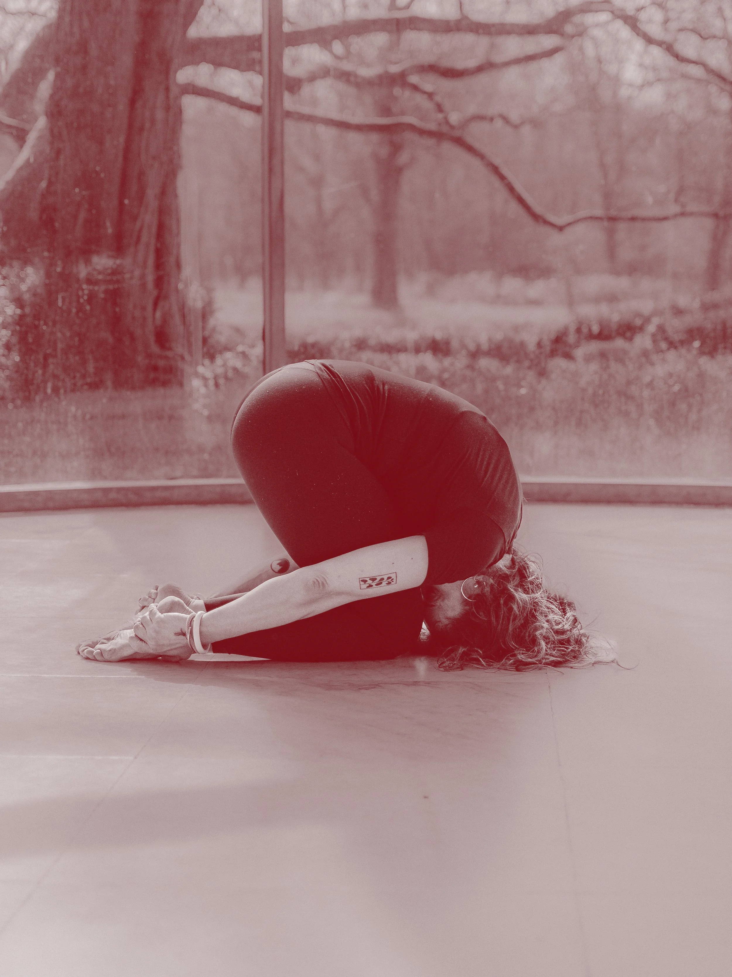 Eva Haberl Coaching