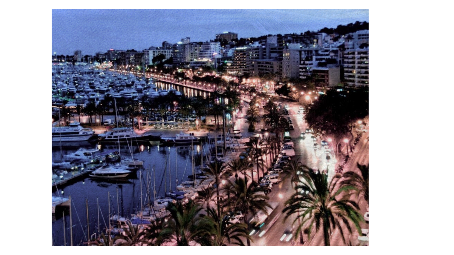 Palma Yacht Crew Recruitment. Jobs for Yacht Crew in Palma de Mallorca.