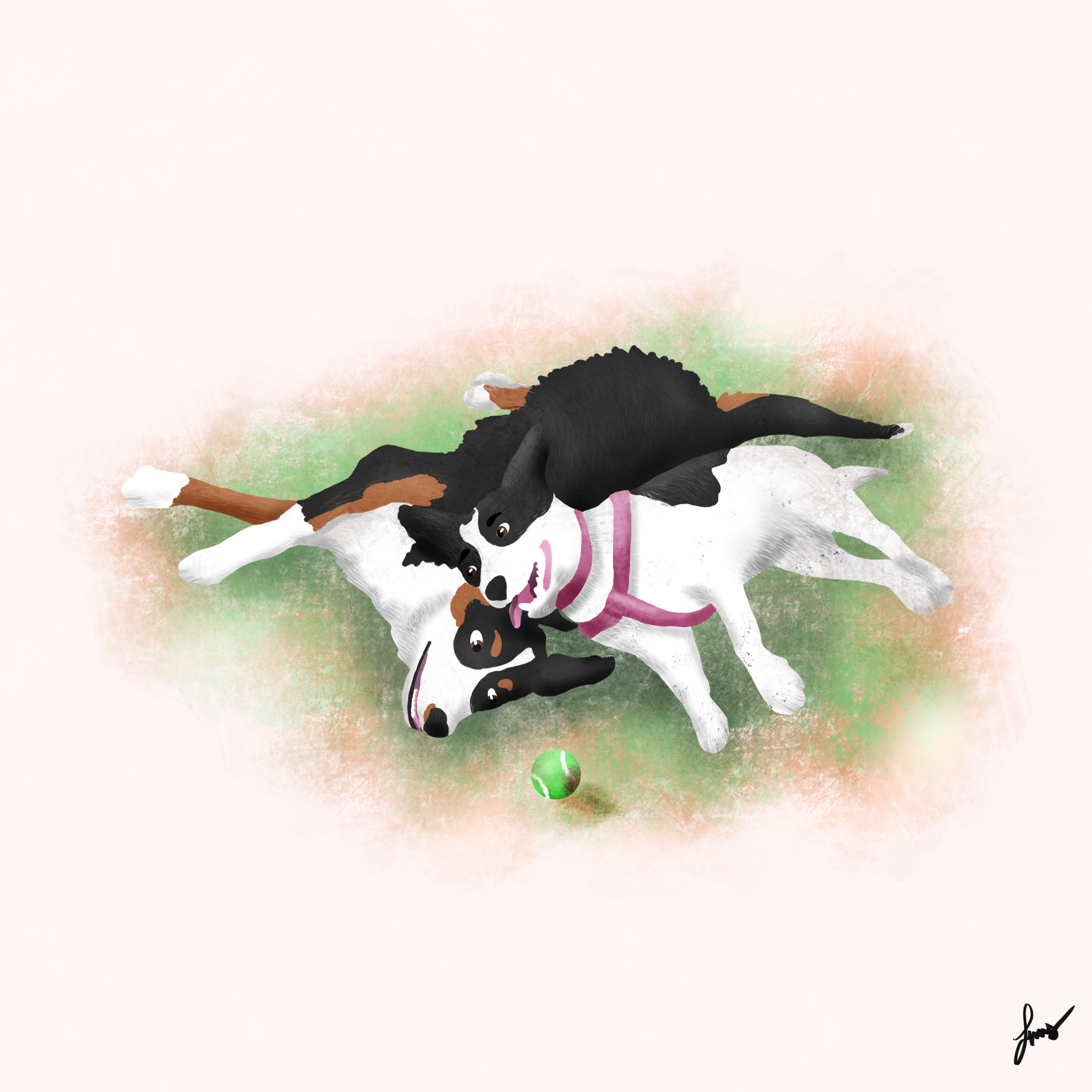 IMG_1020.PNG
