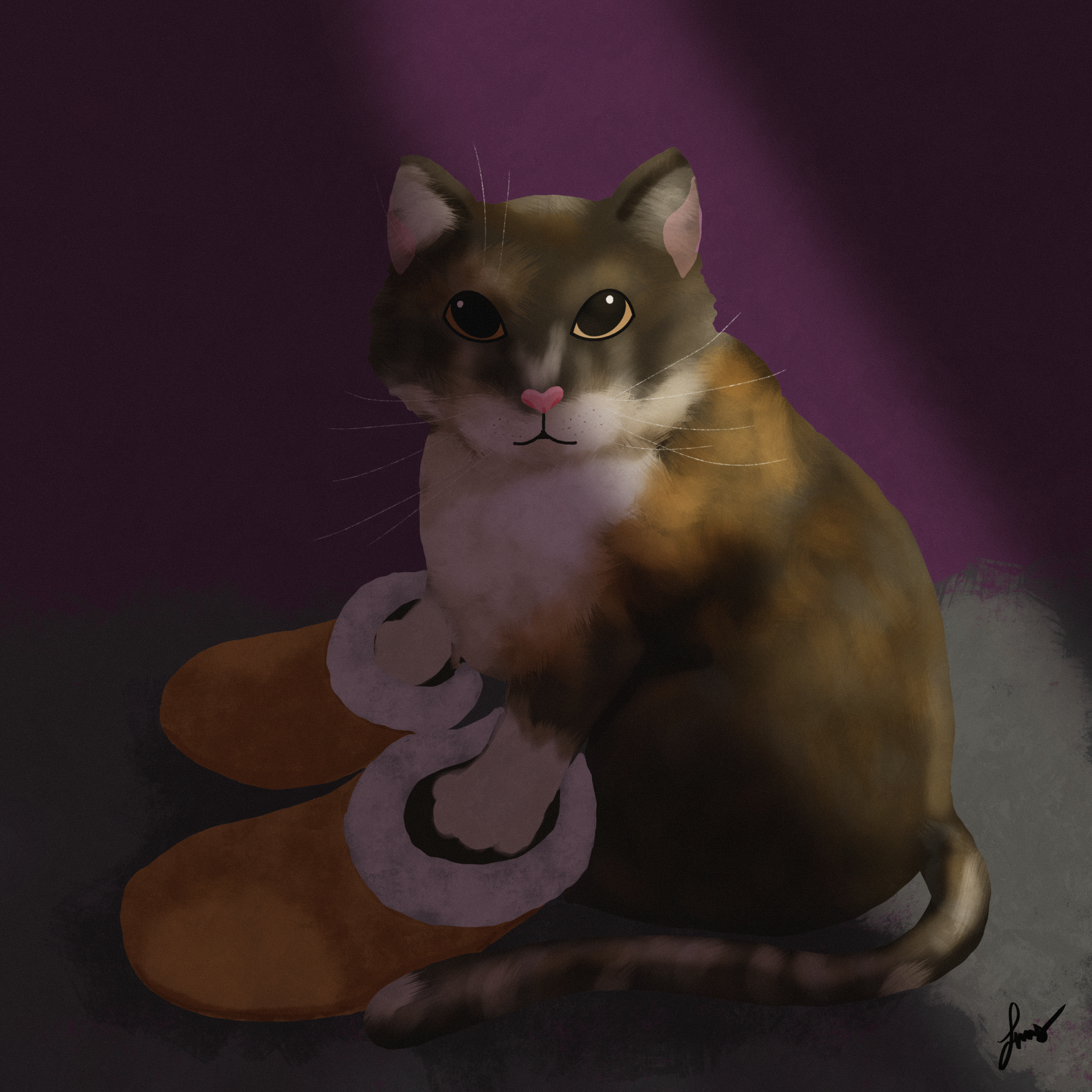 IMG_0913.PNG