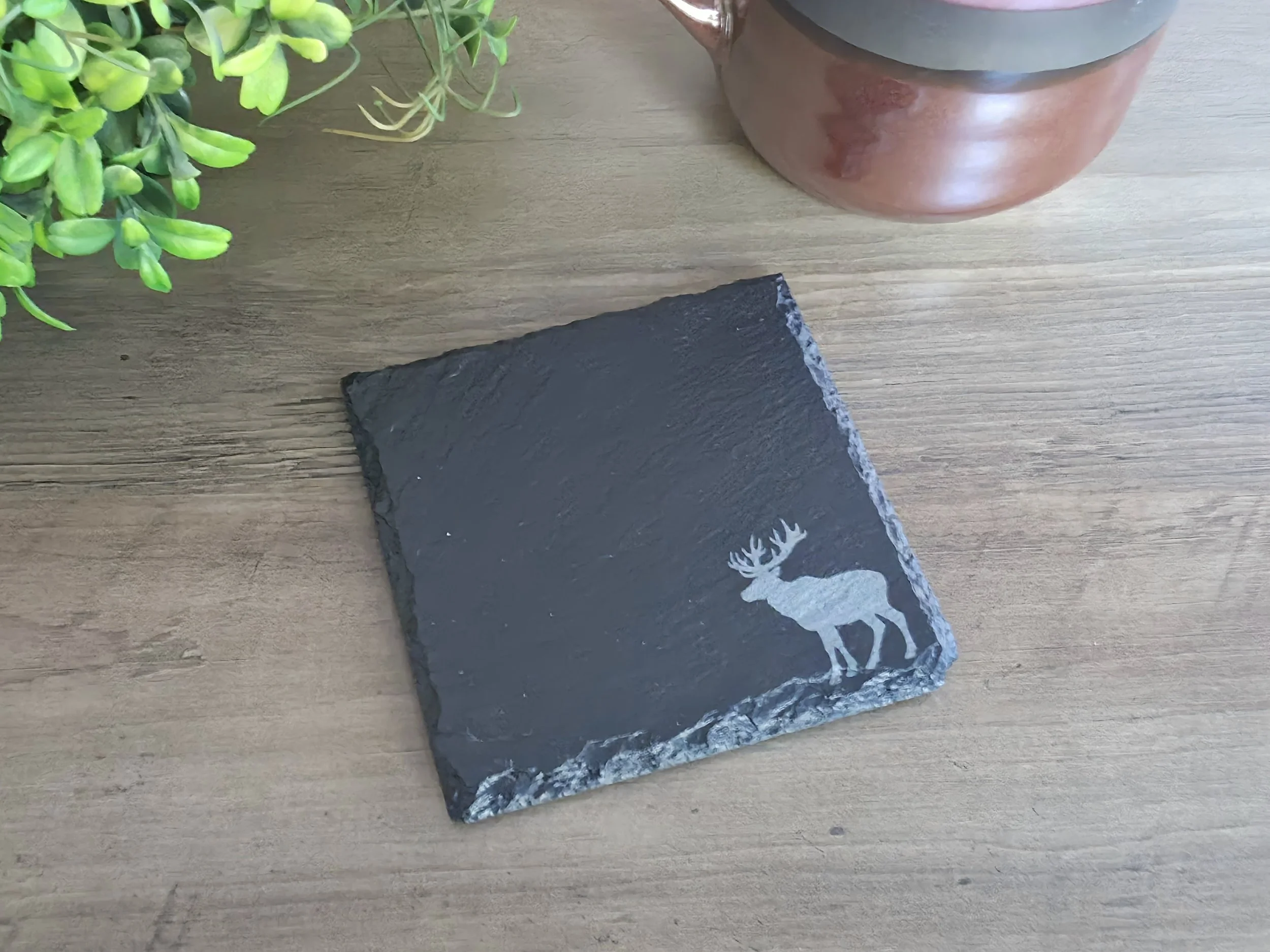 Elk.jpg