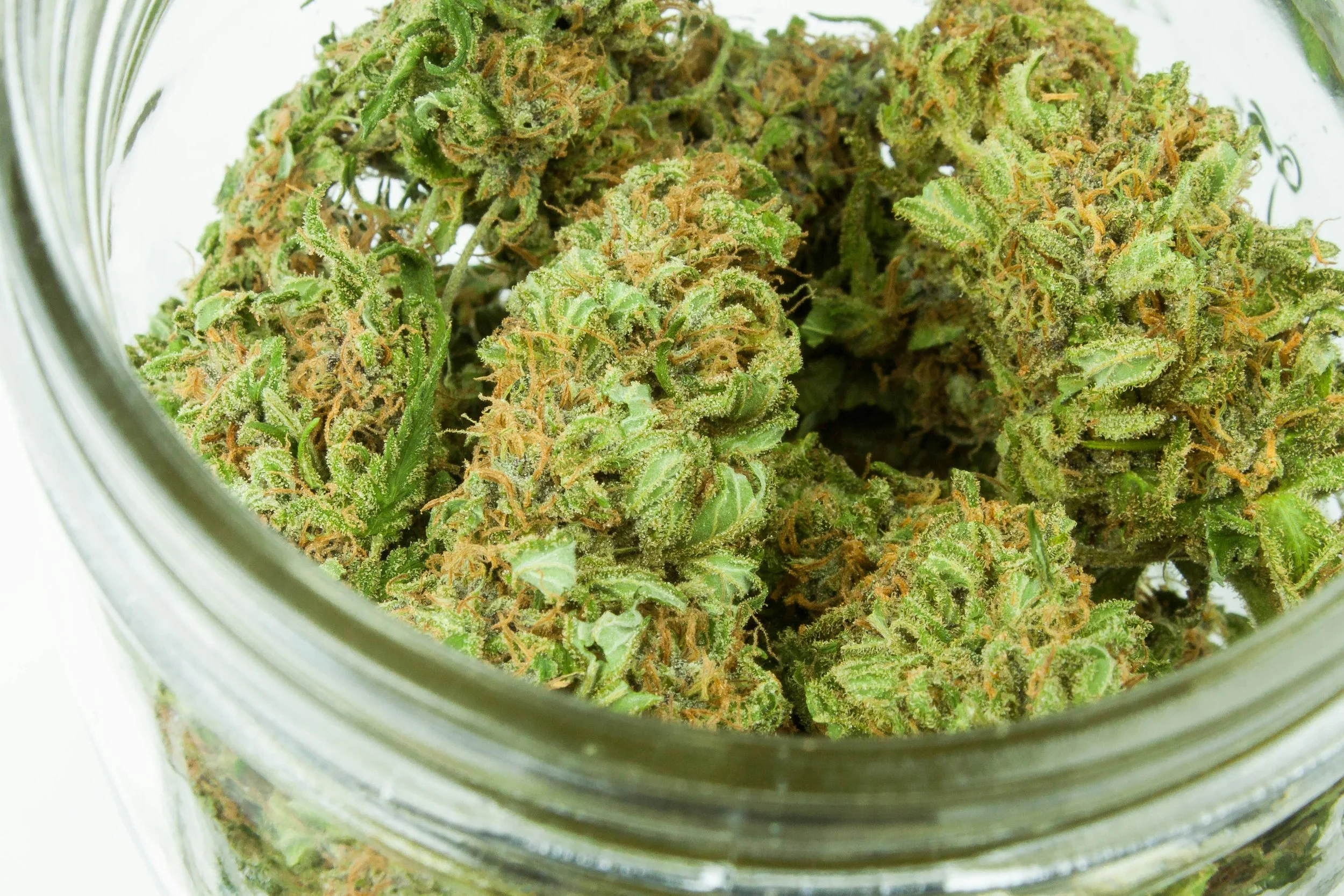 close up image of cannabis, bright green with orange hairs, inside a mason jar without the lid. top down view, slight angle.