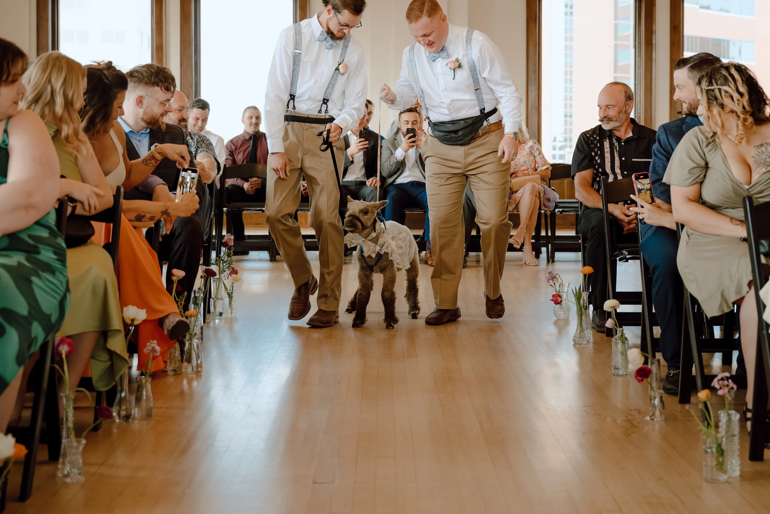 A dog wearing a wedding dress is walking down the aisle at a wedding ceremony, accompanied by two men holding its leash, surrounded by seated guests taking photos.
