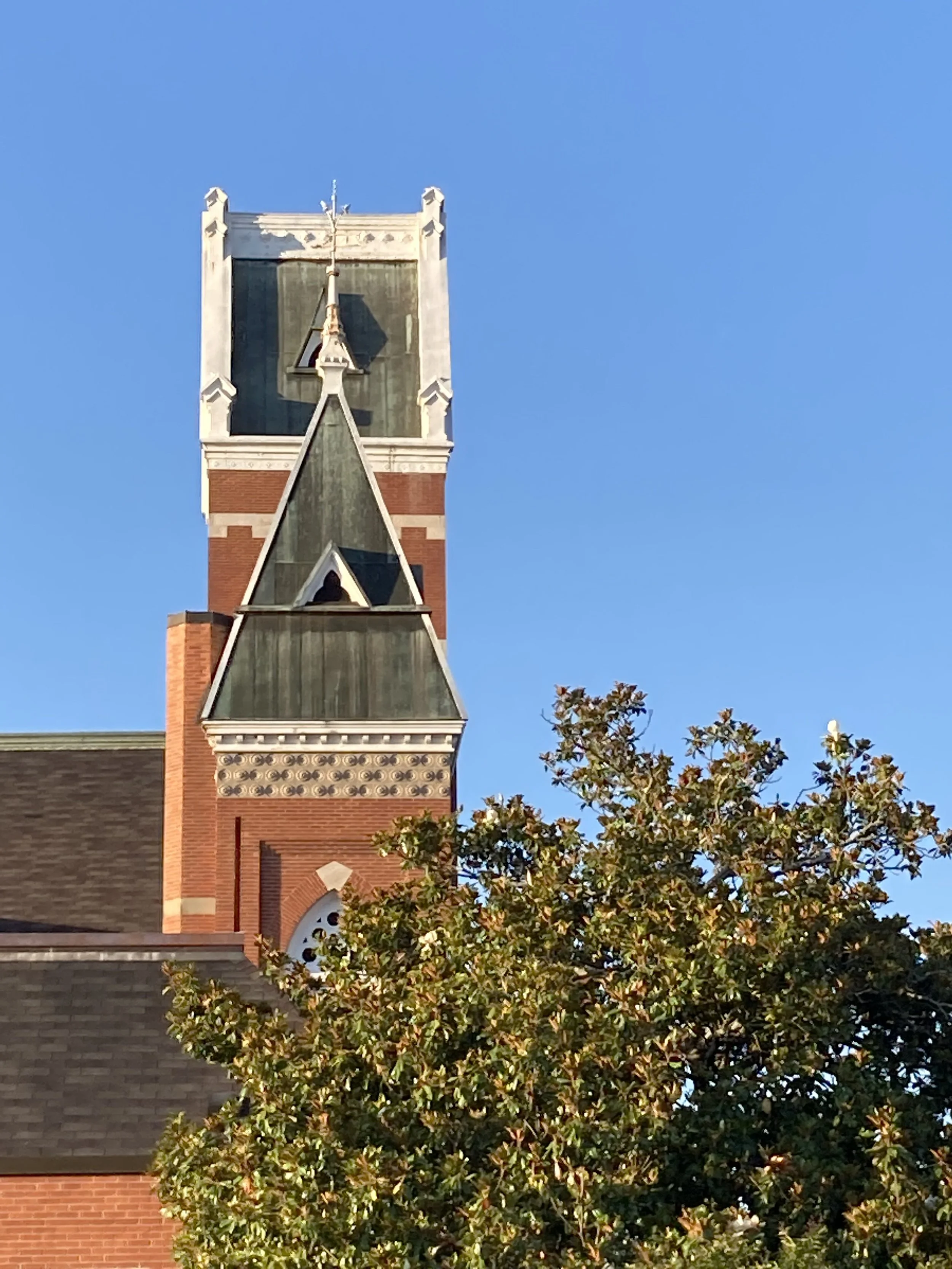 Clock tower with Gothic architecture and a green roof, partially obscured by a leafy tree, under a clear blue sky.