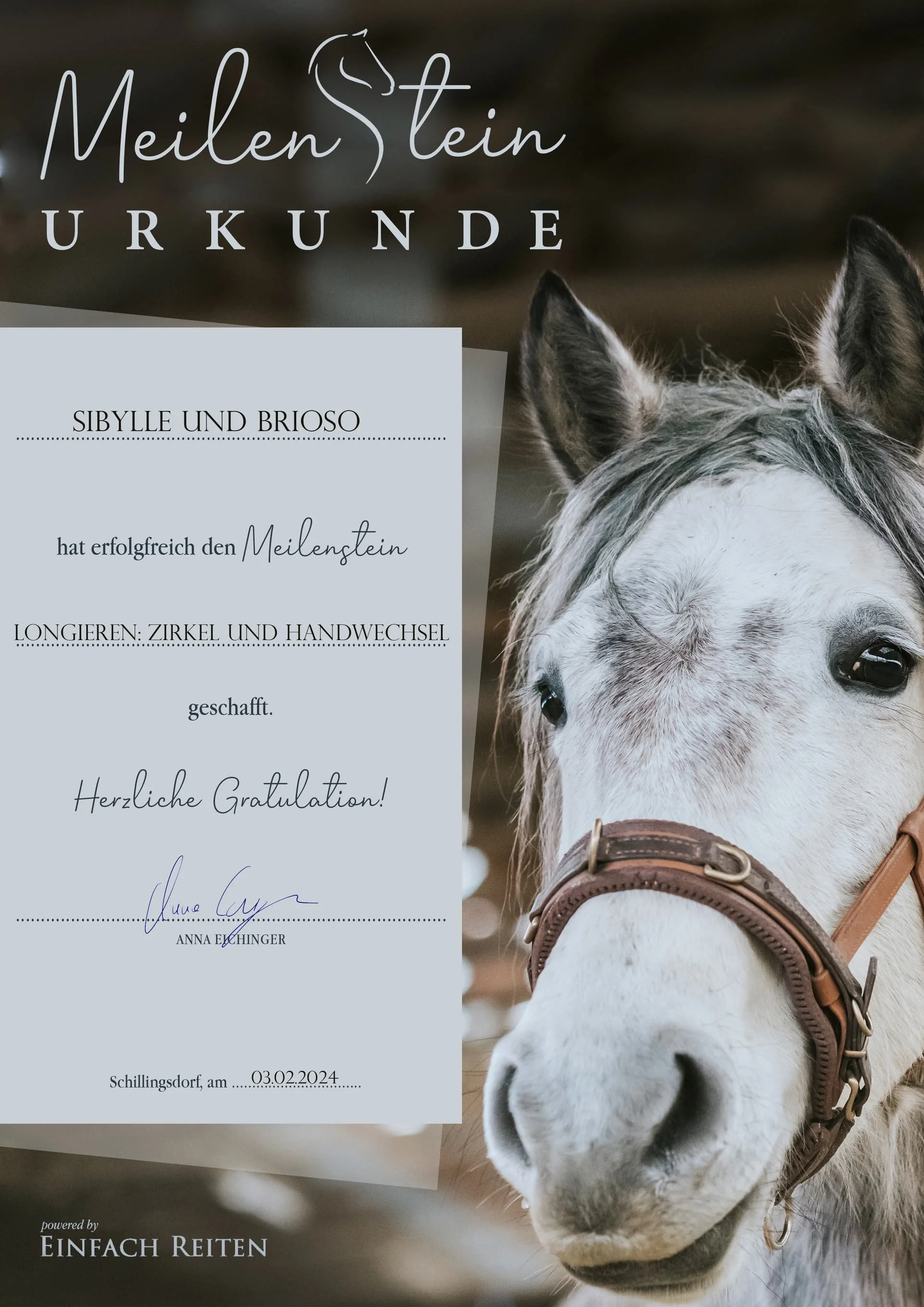 A certificate of achievement titled 'Meilenstein Urkunde' with a picture of a white horse with a mane, wearing a brown halter, on the right side, against a dark background.