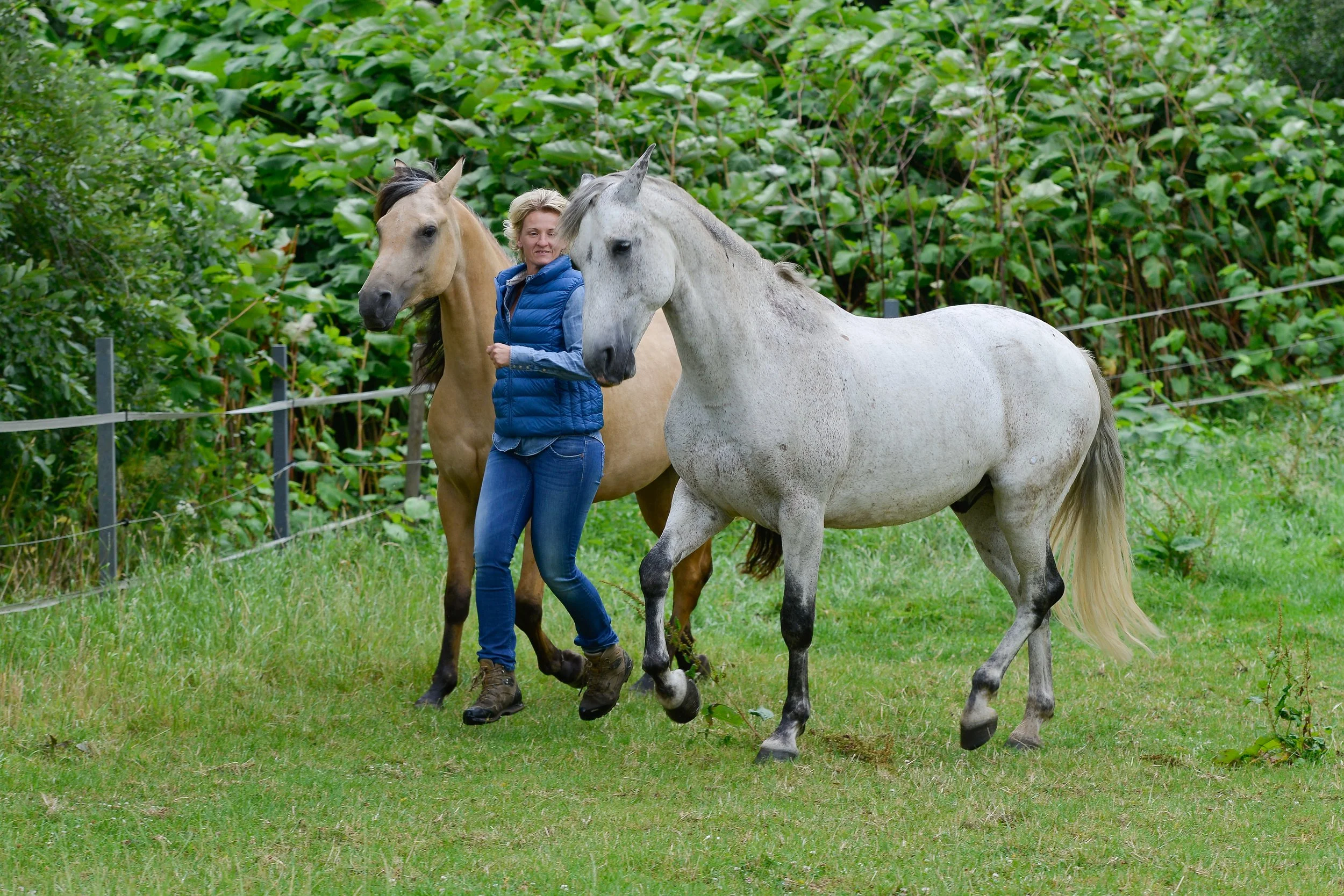Sibylle Vahl von Reiten im Miteinander in Südniedersachsen, wie sie mit ihren Pferden auf der Weide läuft.
