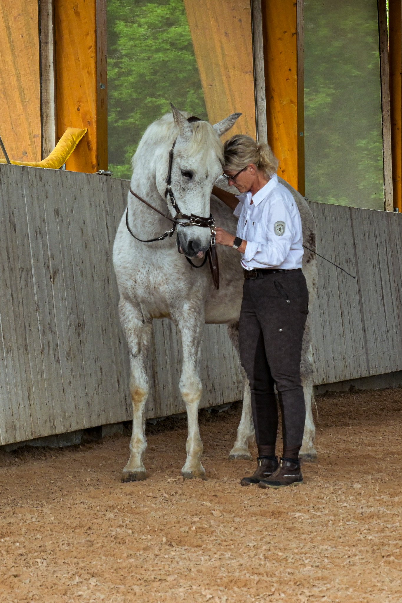 Sibylle Vahl von Reiten im Miteinander in Südniedersachsen, wie sie mit ihrem Pferd in einer Reithalle kuschelt.