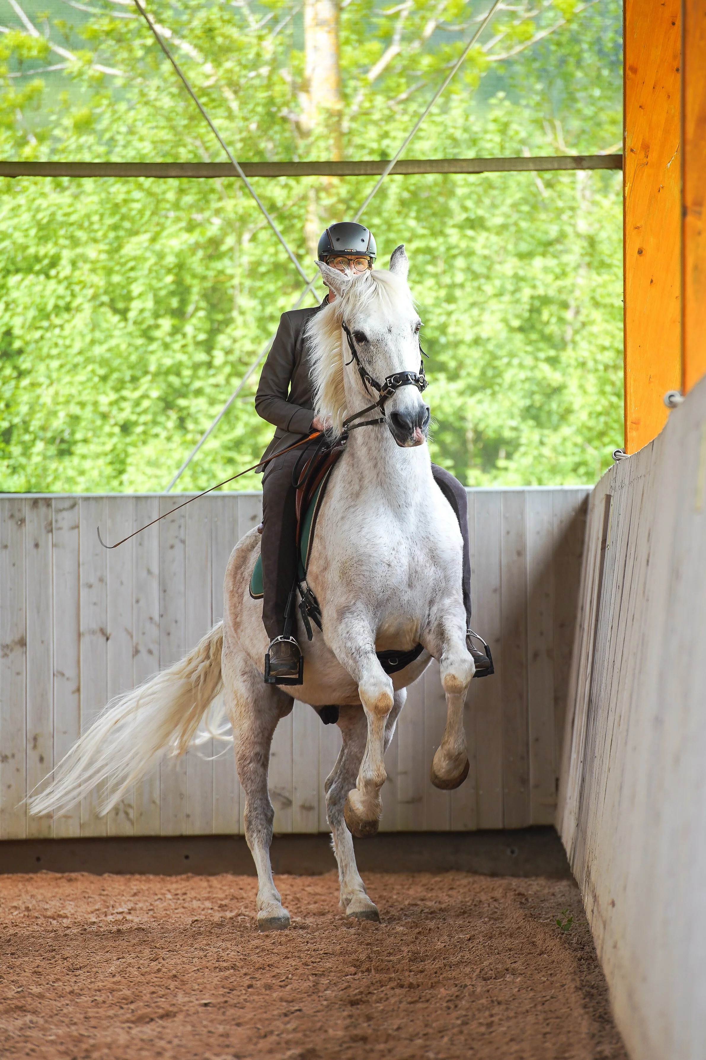 Sibylle Vahl von Reiten im Miteinander in Südniedersachsen, wie sie mit einem Pferd eine Levade reitet.